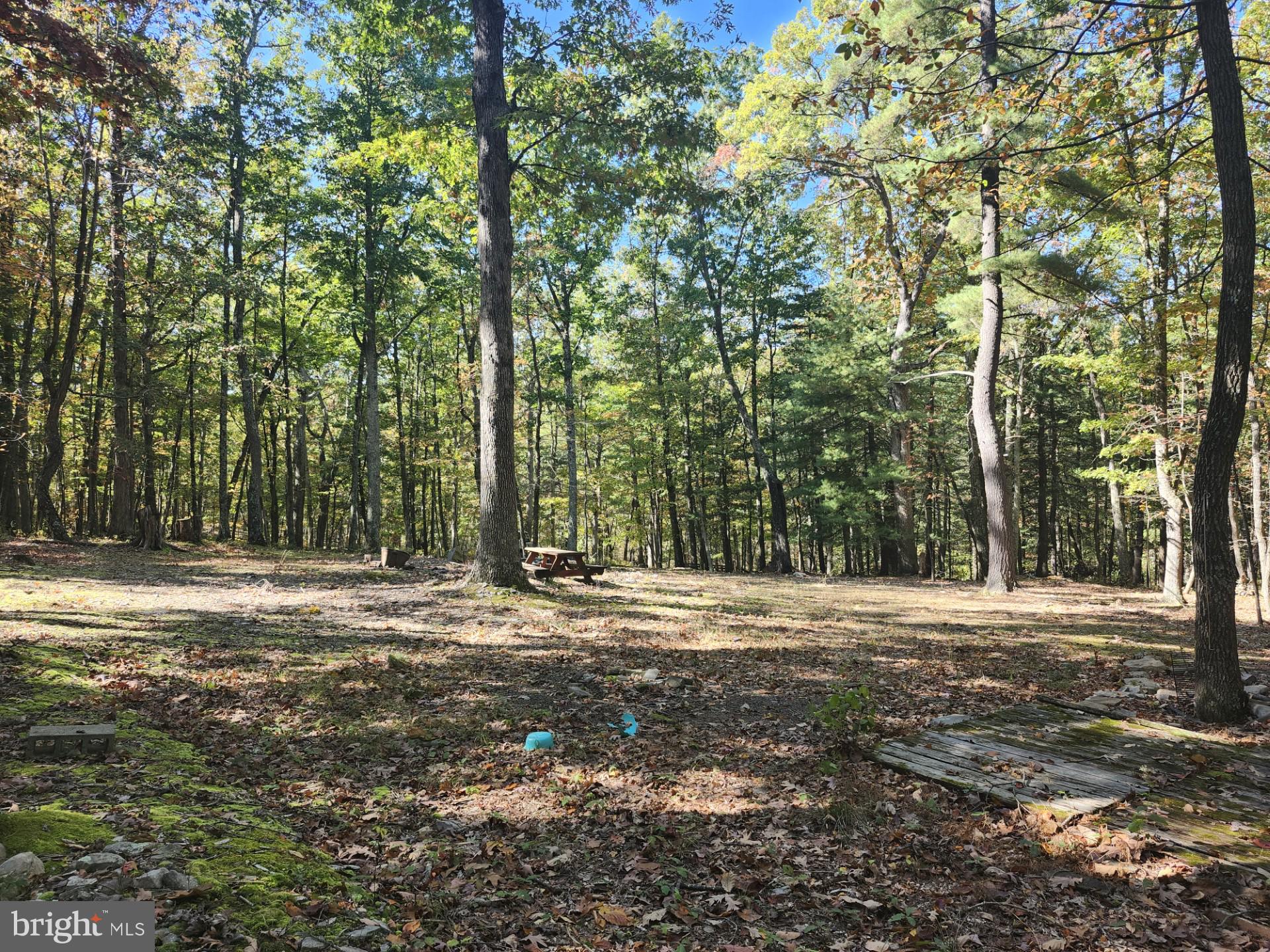 PRIVACY, PRIVACY, PRIVACY! THIS SECLUDED LOT HAS THE VERY BEST THAT NATURE HAS TO OFFER, MATURE TIMBER, TONS, AND I MEAN TONS OF WILDLIFE, DEER, BEAR, TURKEY, ETC......... PROPERTY LAYS EXCELLENT WITH A HUGE FLAT THAT WOULD BE PERFECT FOR A PRIMITIVE CAMP OR CABIN SITE! PROPERTY BACKS UP TO A HUGE TRACT OF PRIVATE LAND, IF YOU ARE LOOKING FOR SOMEWHERE TO ESCAPE THIS IS THE PLACE! VERY GOOD ACCESS, AND THERE IS SOME VALUABLE TIMBER ON THE PROPERTY. BRING YOUR CAMPER, BRING YOUR FIREARM'S, BUT MOST IMPORTANTLY BRING YOURSELF! THIS TRULY IS A GORGEOUS LITTLE PIECE OF "ALMOST HEAVEN" WEST VIRGINIA. THIS PROPERTY BORDERS A 1300 ACRE TRACT OF PRIVATE OWNED LAND.