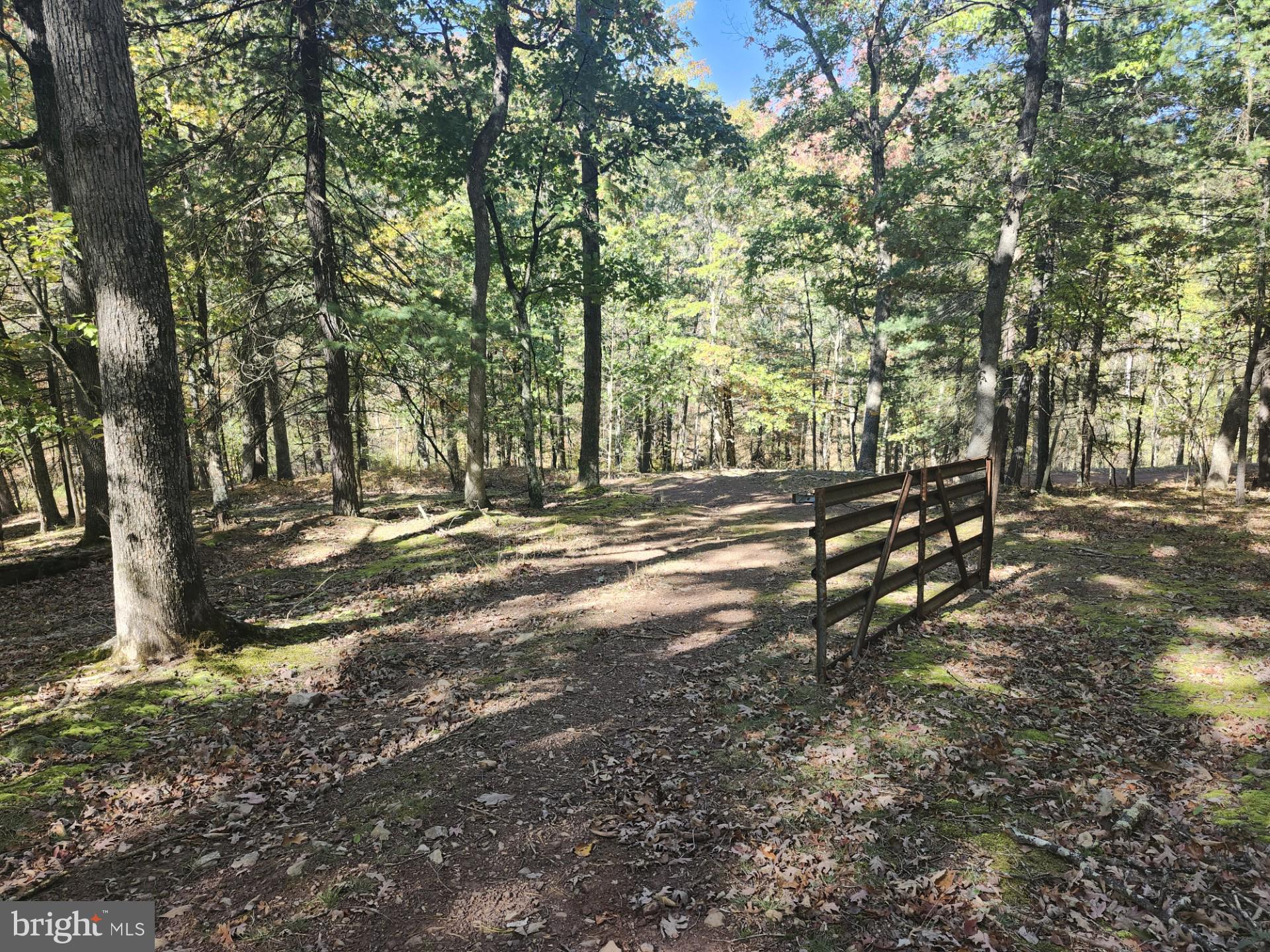 MILL MOUNTAIN ORCHARD - Land