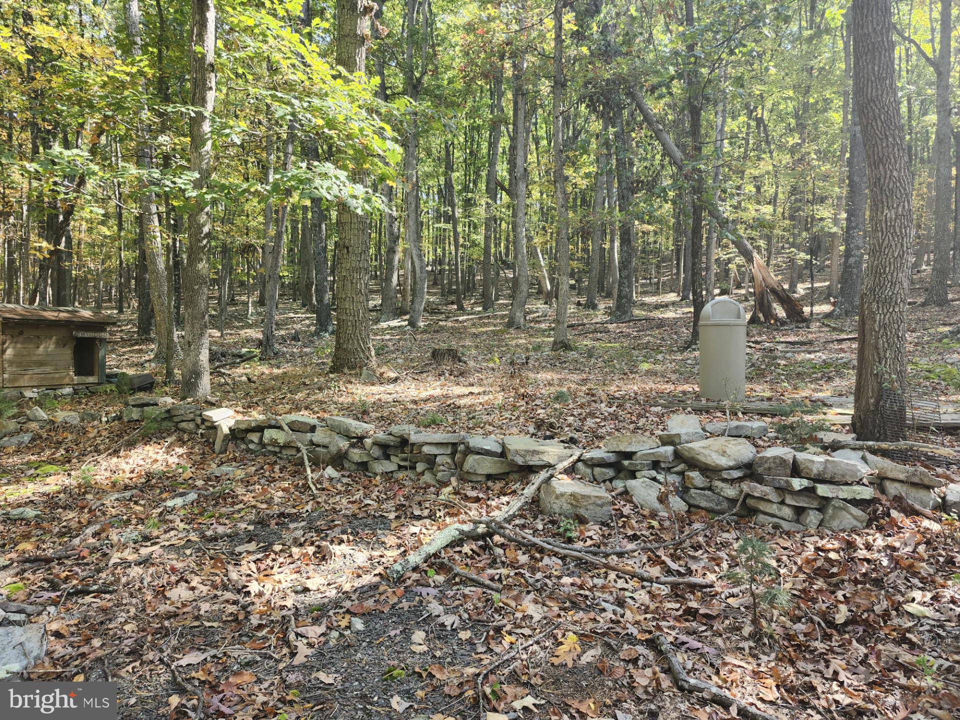 MILL MOUNTAIN ORCHARD - Land
