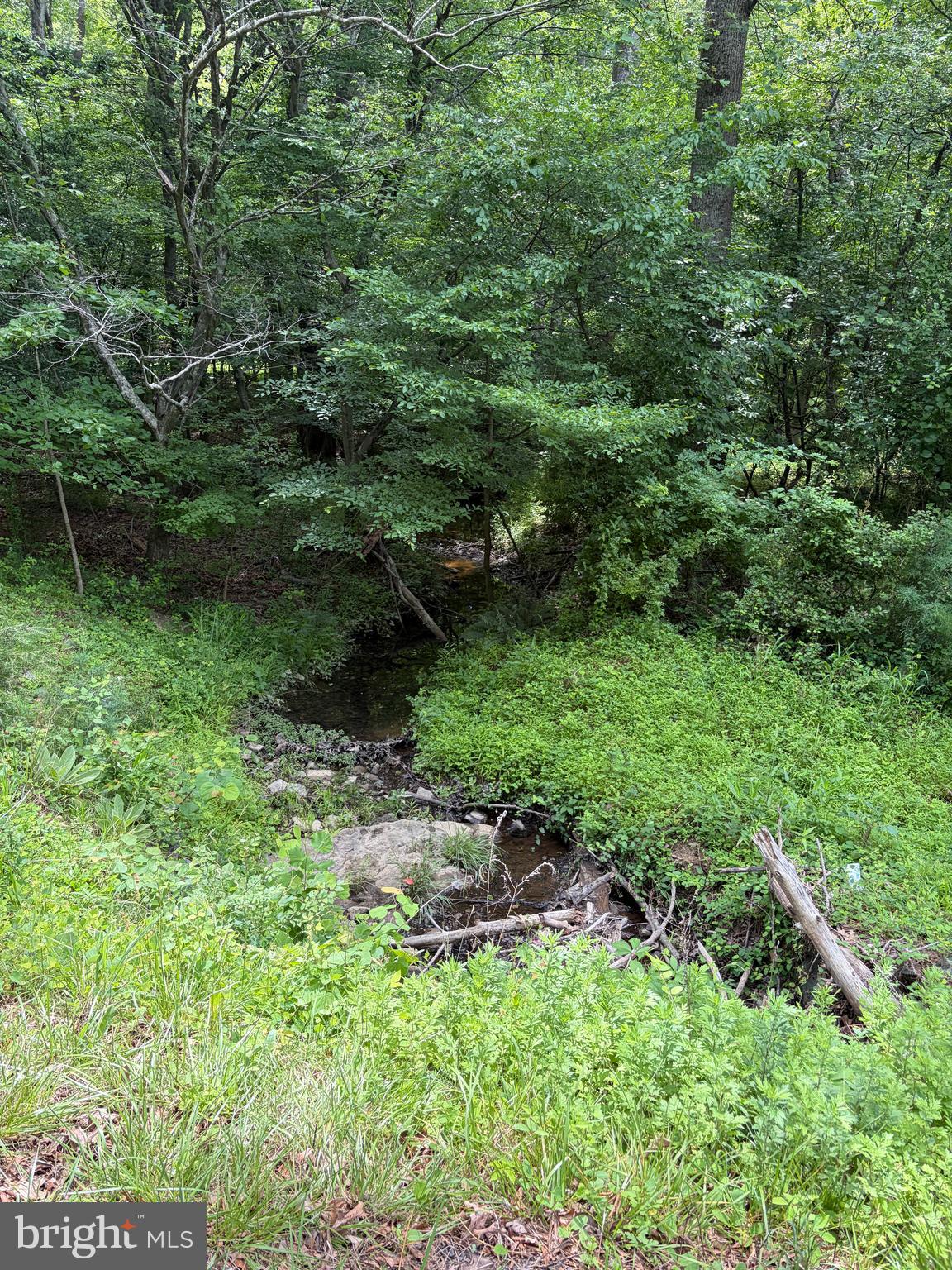 LAKE OF THE WOODS - Land