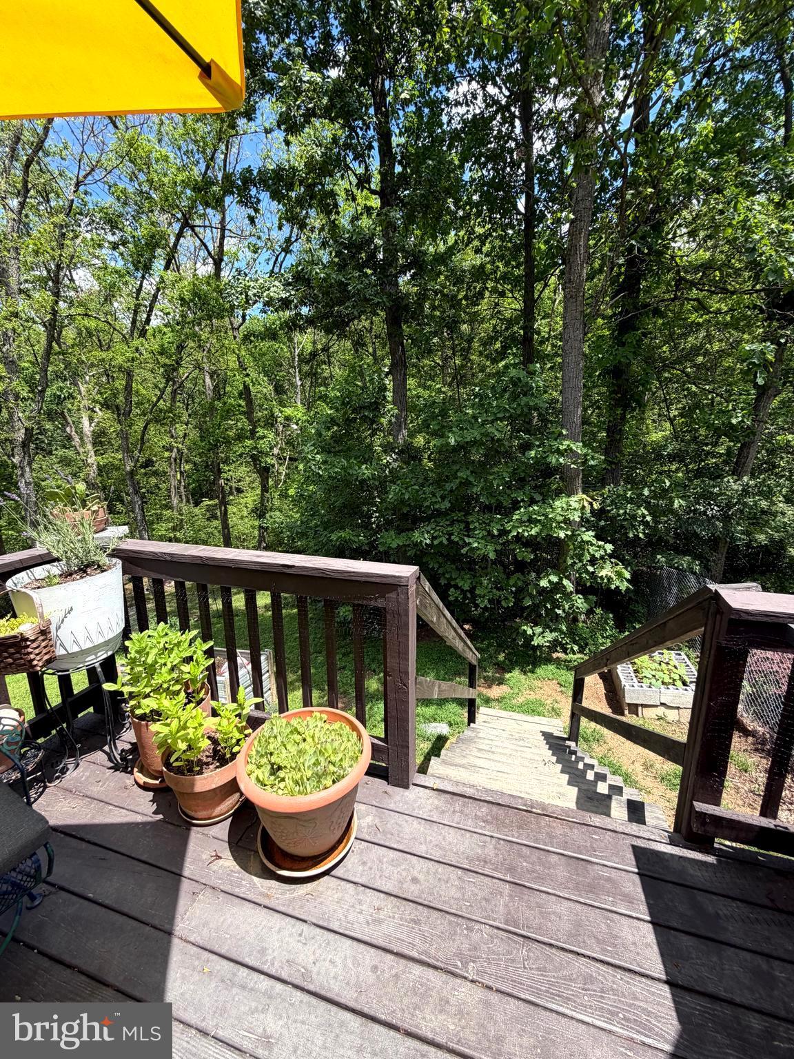 GLENWOOD FOREST - Residential