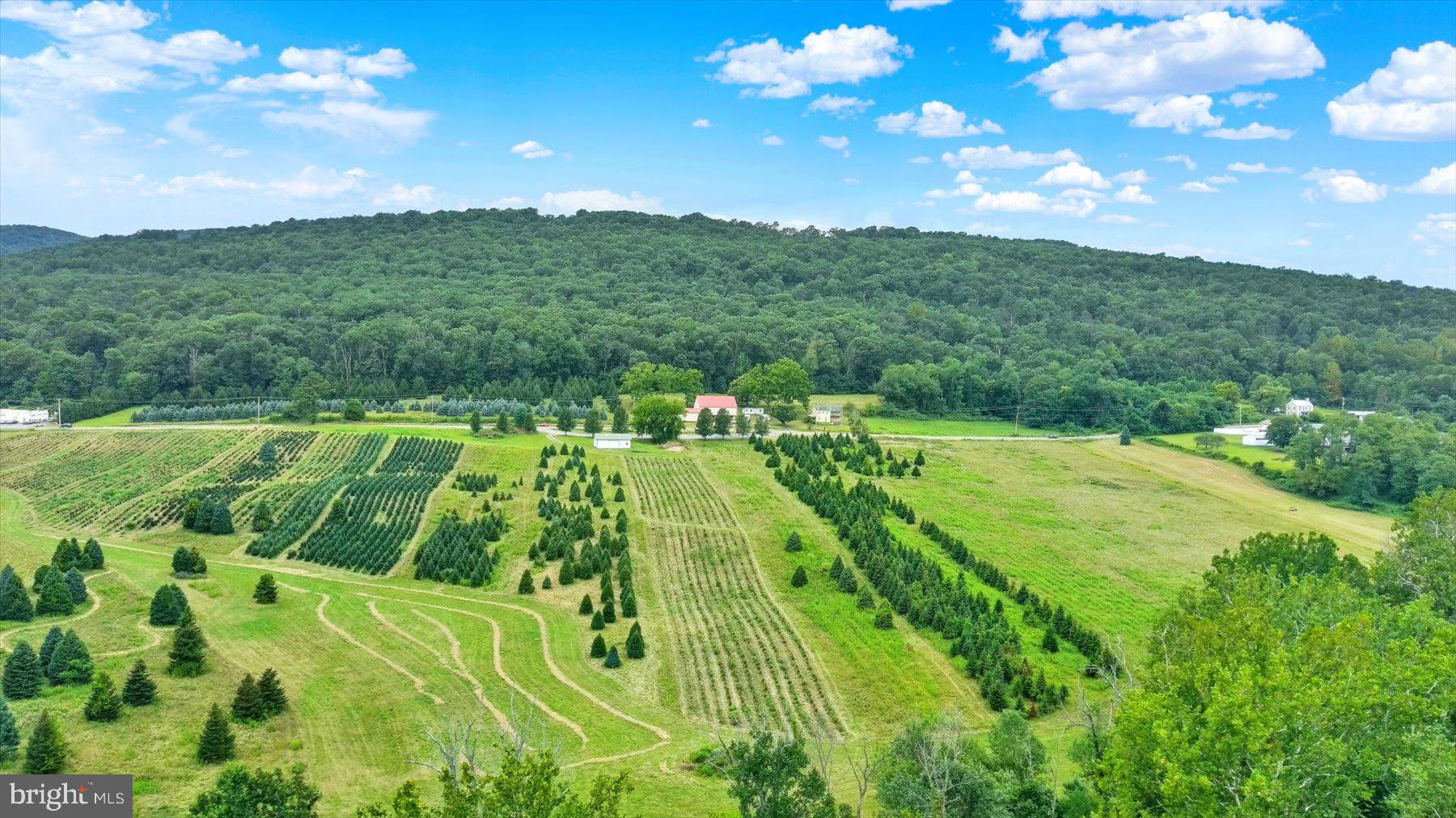 Prime 78-acre tract in Dillsburg, Pennsylvania, located in sought-after Northern York County and offering exceptional subdivision & development potential. This unique property boasts dual road frontage and is already split by the roadway—approximately 28 acres with the farmhouse and outbuildings on one side, and about 50 acres of open ground on the other—providing flexibility for future subdivision or multiple access points. The land features good soil, rolling topography, and picturesque views from its high points, creating an ideal setting for a residential community or estate lots.  There is an existing lease with a Christmas tree farmer ending at the end of 2025.   The property includes an early farmhouse, believed to be a 19th-century log home, ready for a full restoration or repurposing. Several outbuildings, including a detached garage, smokehouse, former chicken coop turned woodworking shed, implement shed, and a stone foundation bank barn with electric. The site is serviced by private septic, but with the land extending to the Dillsburg Area  Authority, there is the possibility for public sewer connection. This property is part of an Estate Sale and is being offered as-is, presenting a rare opportunity for a developer, investor, or visionary buyer to shape a remarkable piece of Central Pennsylvania land.