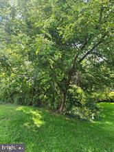 This is a double lot that is currently two separate parcels with total of .52 acres.  Lots are directly behind 2518 and 2518A Joppa Rd in York Township.  Currently land locked.  See plot plan.