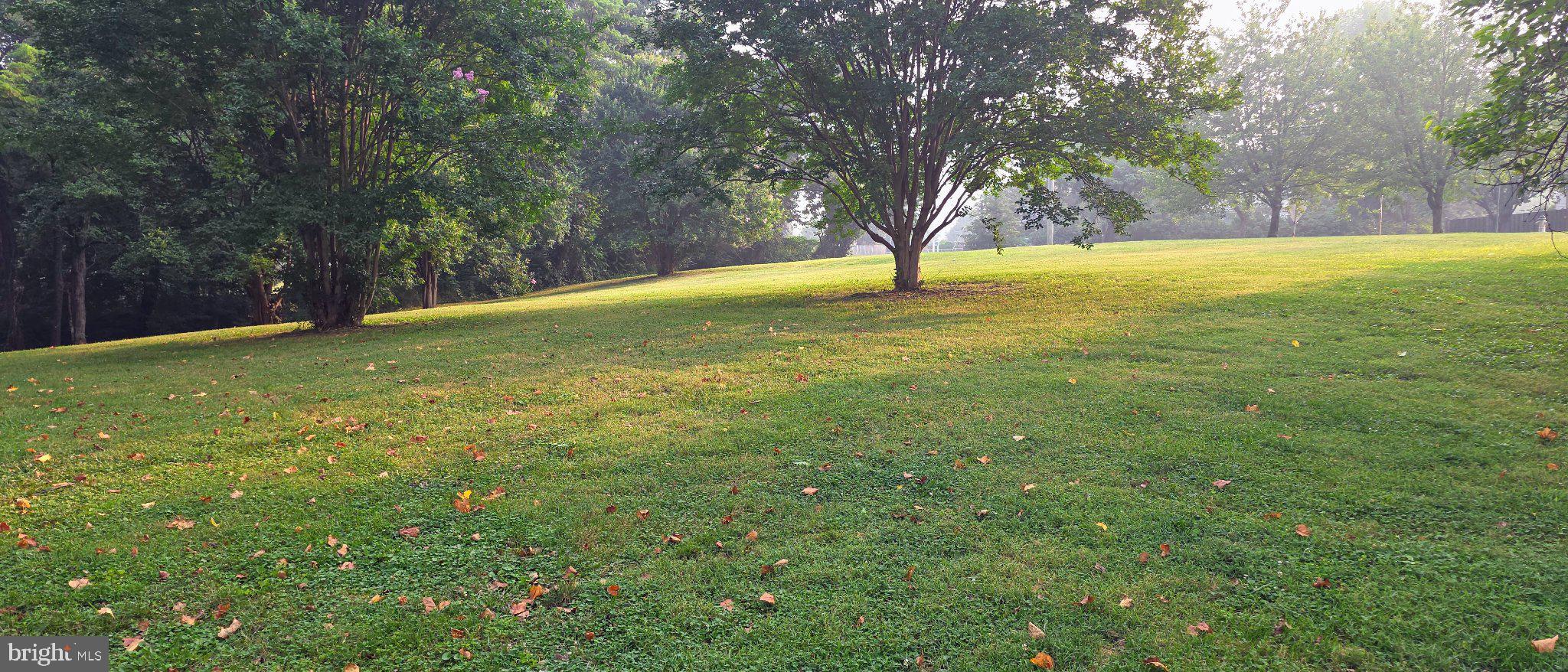 PICKWICK VILLAGE - Residential