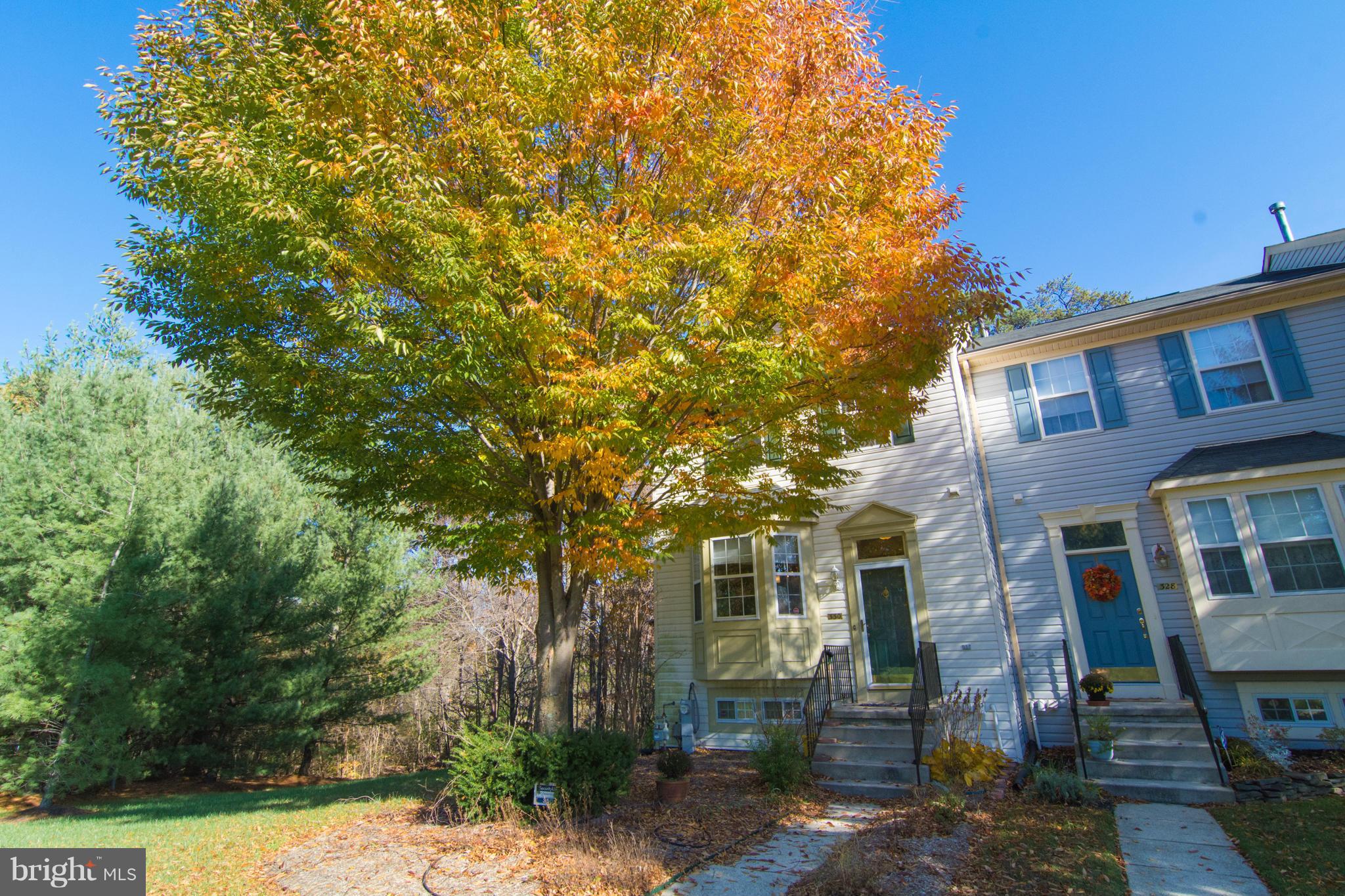 Price adjustment and ready for new owners. This end of group town home has a very private setting that backs to trees, open space & close to Parks. This home has large bedrooms, master bedroom W/ master bath, living room is open and spacious. There is a deck and the basement has a Gas fire place, Walk out and a 1/2 bath that is roughed in for a full bath. Assigned parking, motivated, bring offer.