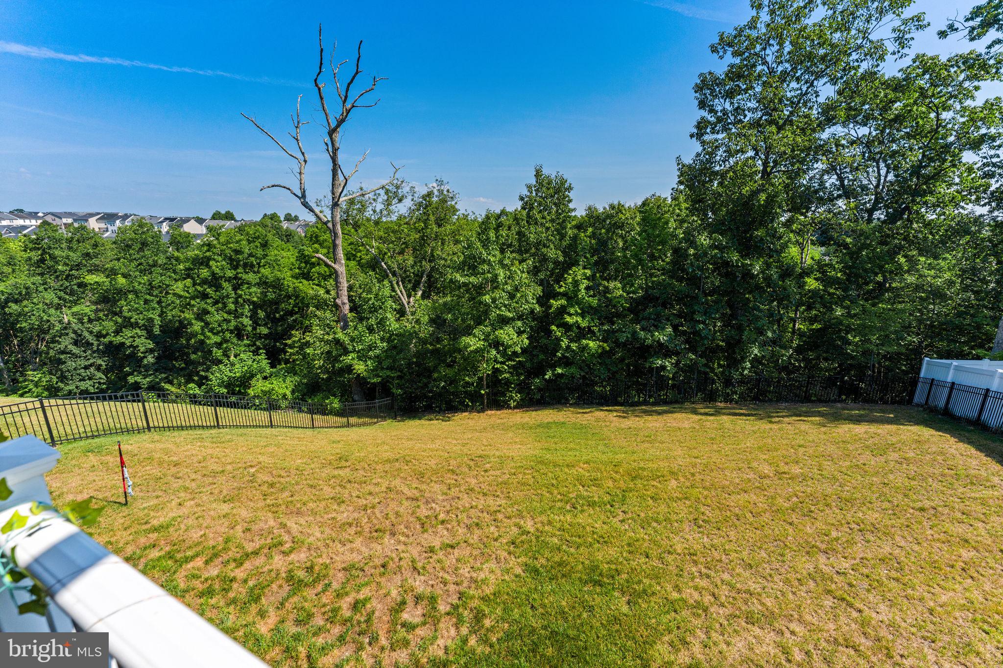 ABRAMS POINTE - Residential