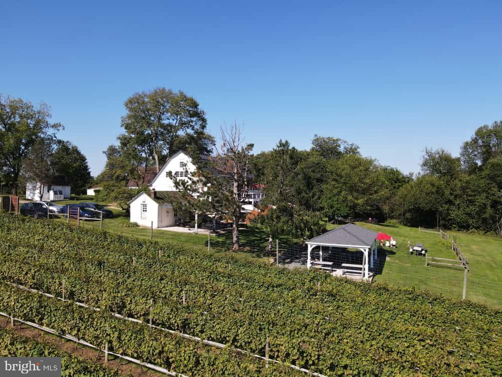 IRENE - Farm