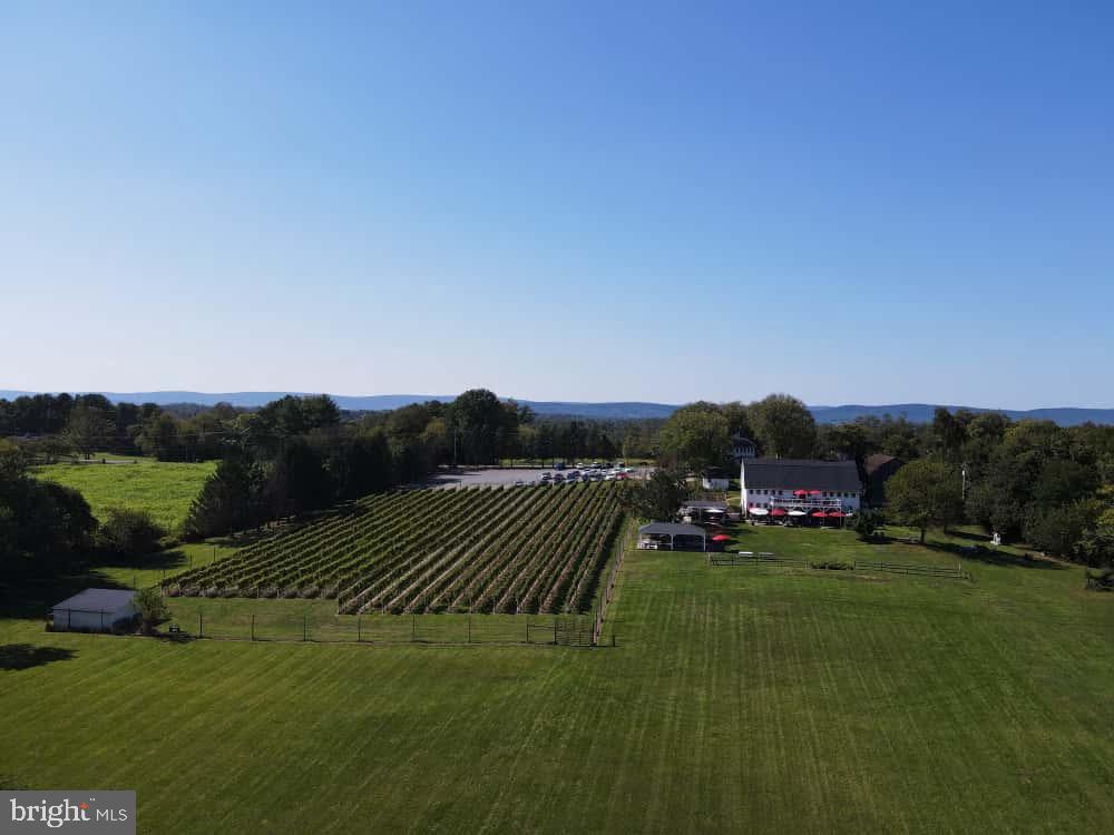 IRENE - Farm