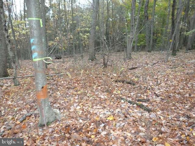 Own your own piece of wooden haven! 15.66 wooded acres only 5.3 miles from Rt 22/322 Port Royal Exit. Timber included. (Timber last 10/1997). No outlet, private gravel road access, by way of Birch Lane. Deeded Easement across from Kepner now Rapp & Hepner; now Manbeck & Lewis; now Fisher (Lot #1- 10.2 acres). Hunter turkey or deer. Closet to State Game Land #88. Build your cabin plans & retreat near base or Tuscarora Mt. *Upon acceptable offer, owner will pursue a current perk test.
