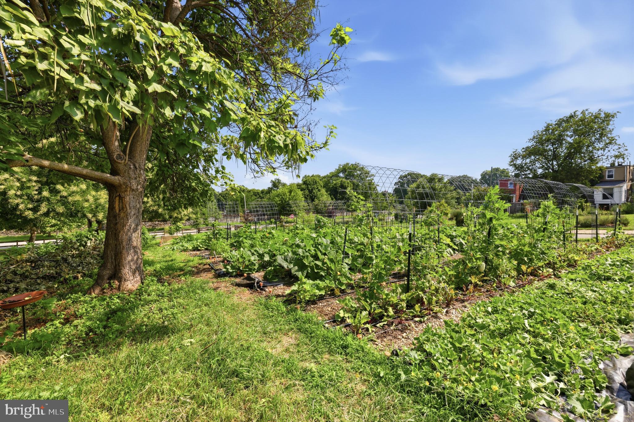 JOHNSTON SQUARE - Residential
