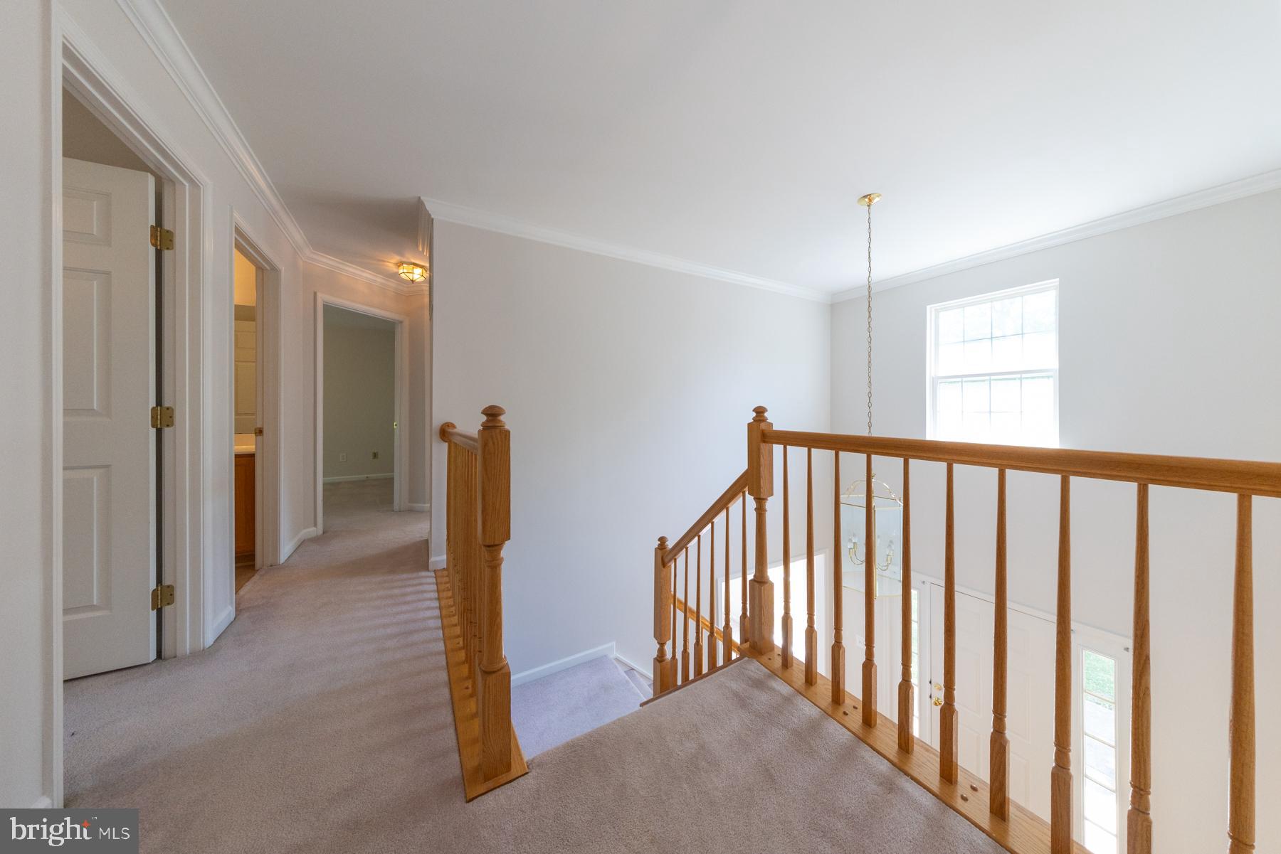 POTOMAC STATION - Residential