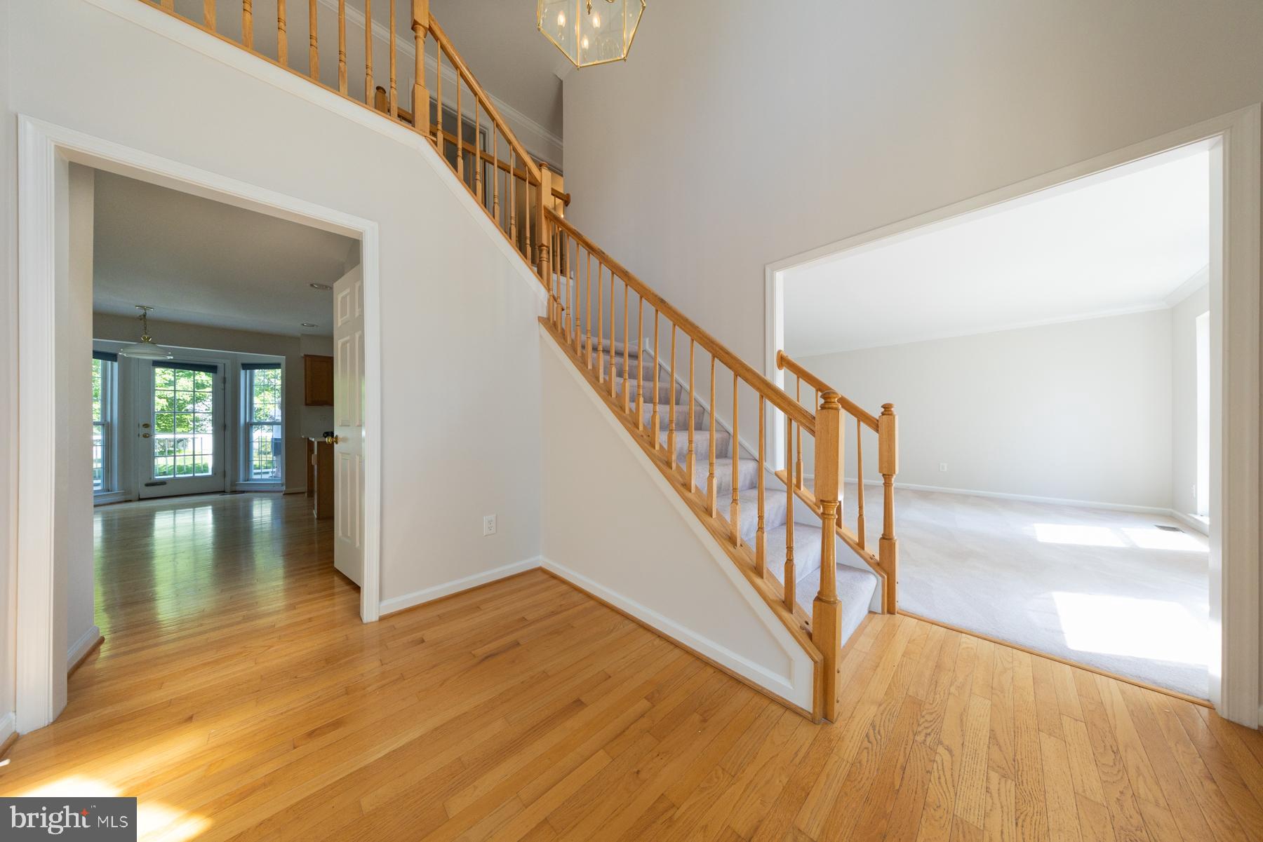 POTOMAC STATION - Residential
