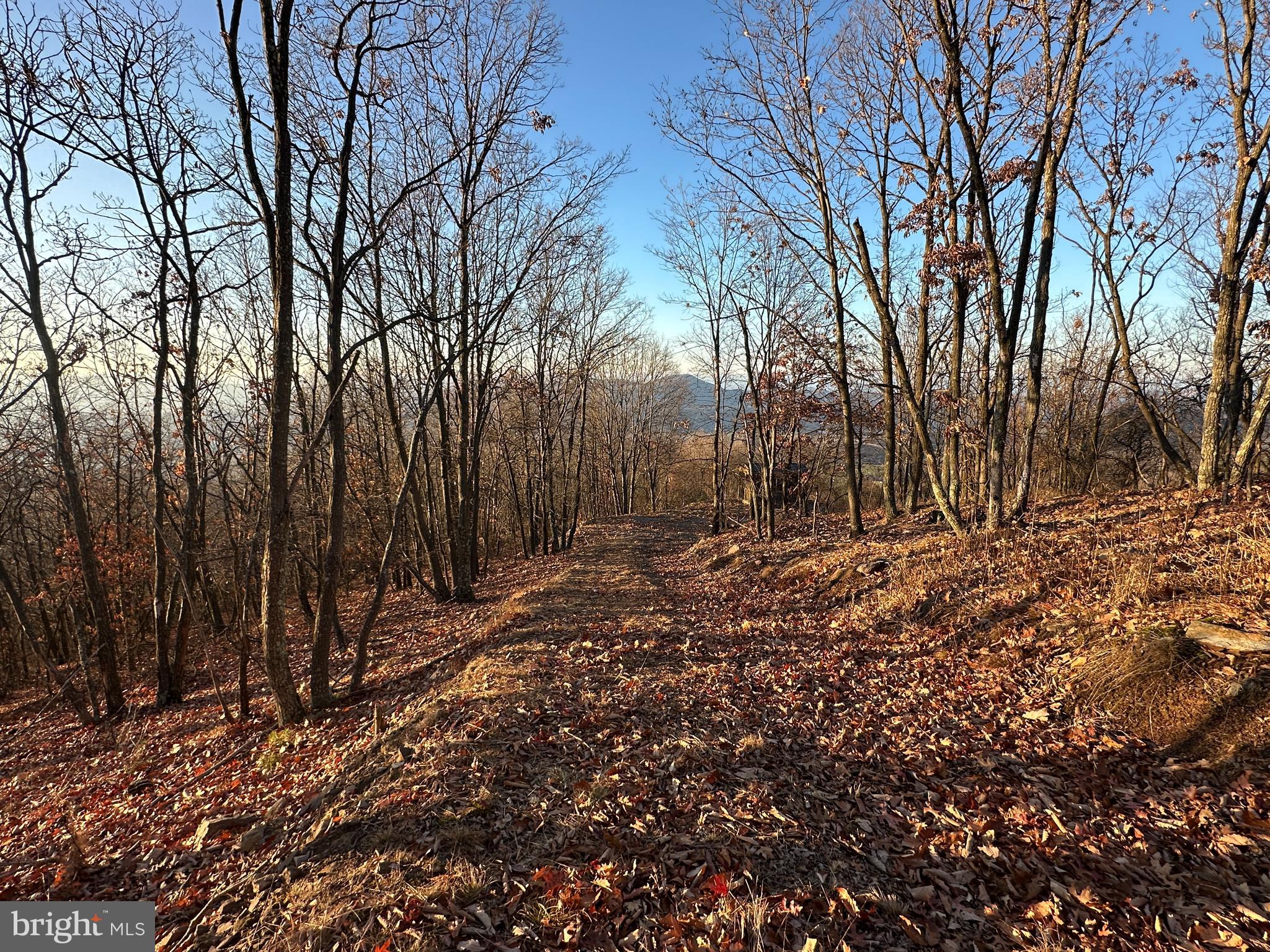 ASHTON WOODS - Land