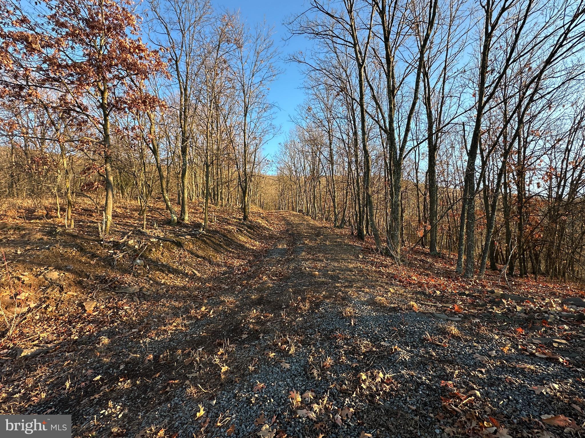 ASHTON WOODS - Land