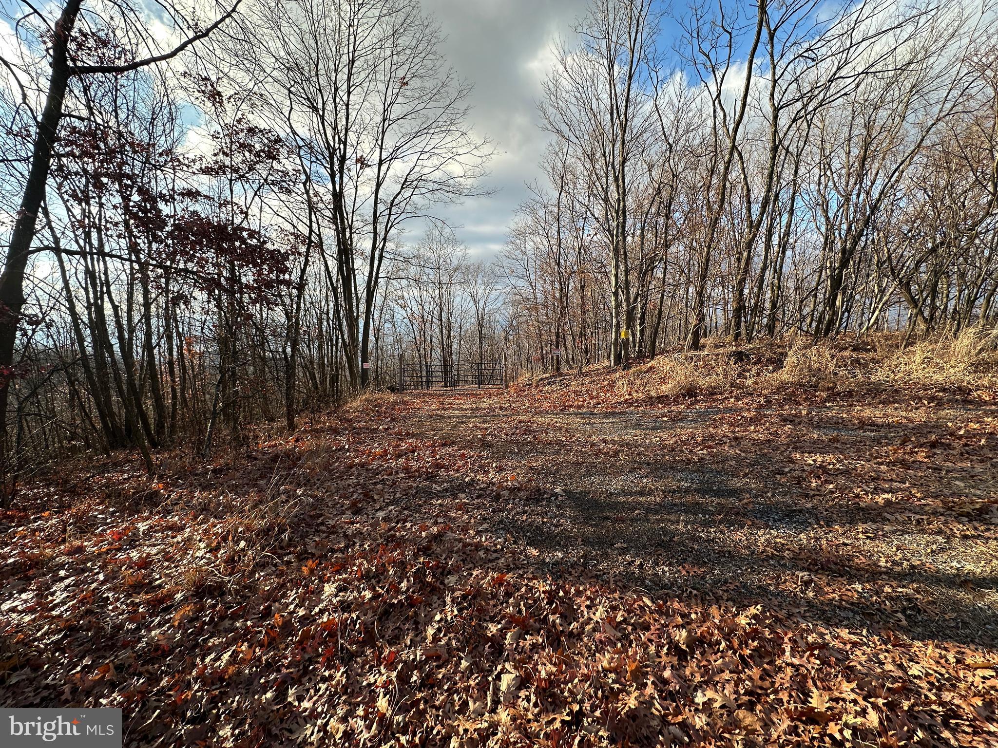ASHTON WOODS - Land