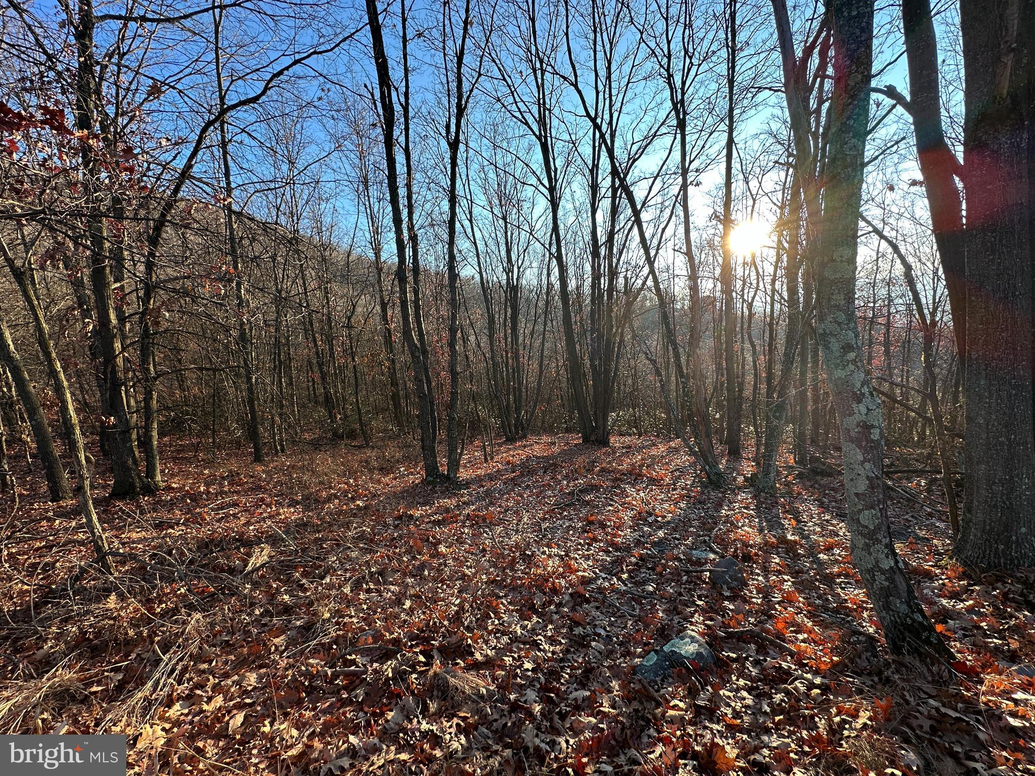 ASHTON WOODS - Land