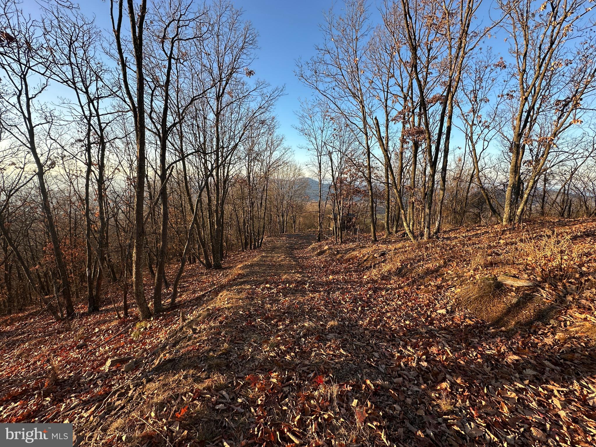 ASHTON WOODS - Land
