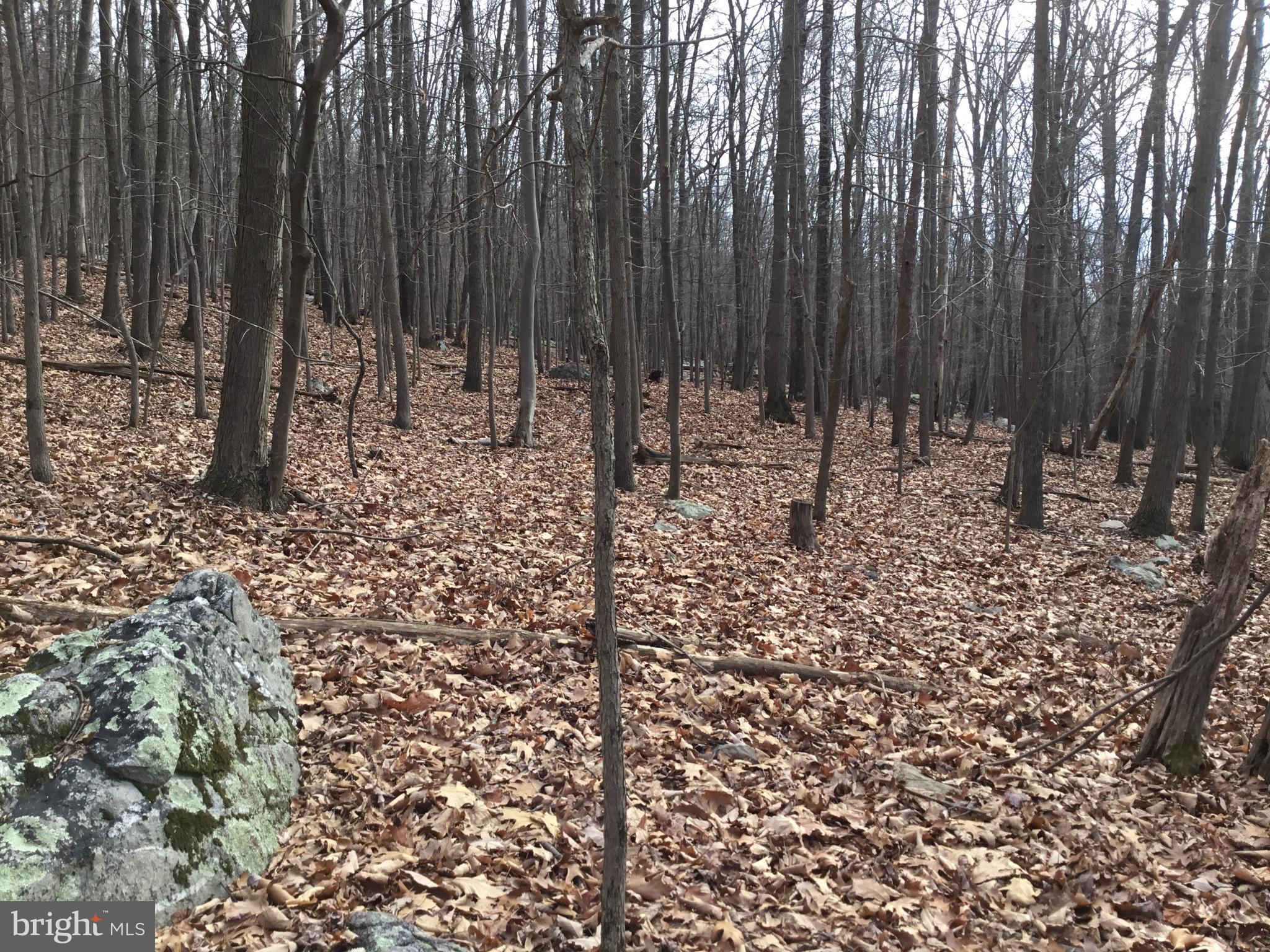 Beautiful wooded lot located in the Shannondale Community.  The sale includes two adjacent lots 13 & 14 (parcels 44 and 43) totaling almost a half acre.    Nearby amenities include Mountain Lake Club, (with 55 acre Lake Shannondale),  historic Harpers Ferry and Charlestown.  Outdoor activities abound (fishing, swimming, boating, hiking and more.) with the Shenandoah River also minutes away.  Buyer's responsibility to verify size and use of the property.