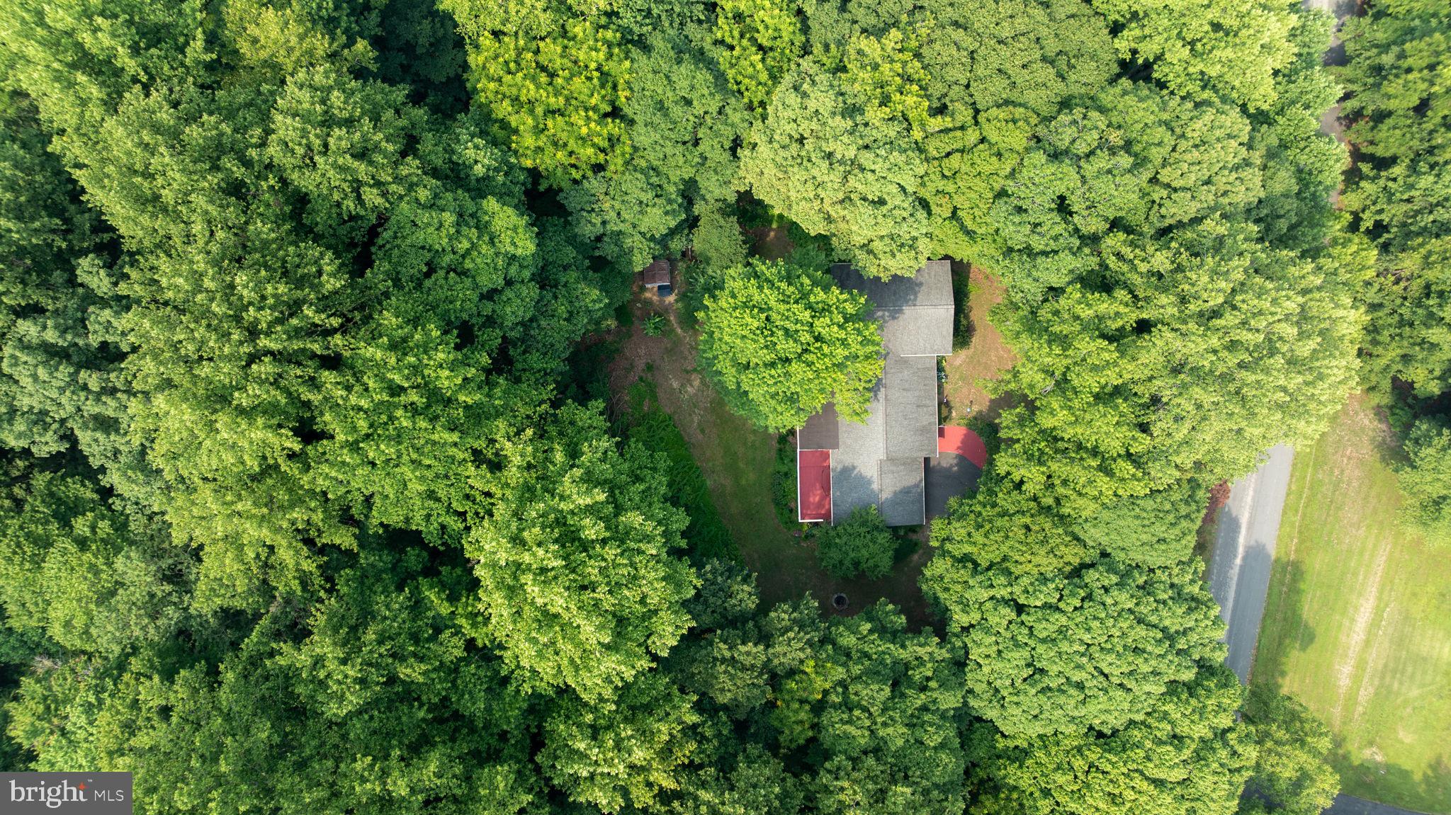 CHANEY STATION - Residential