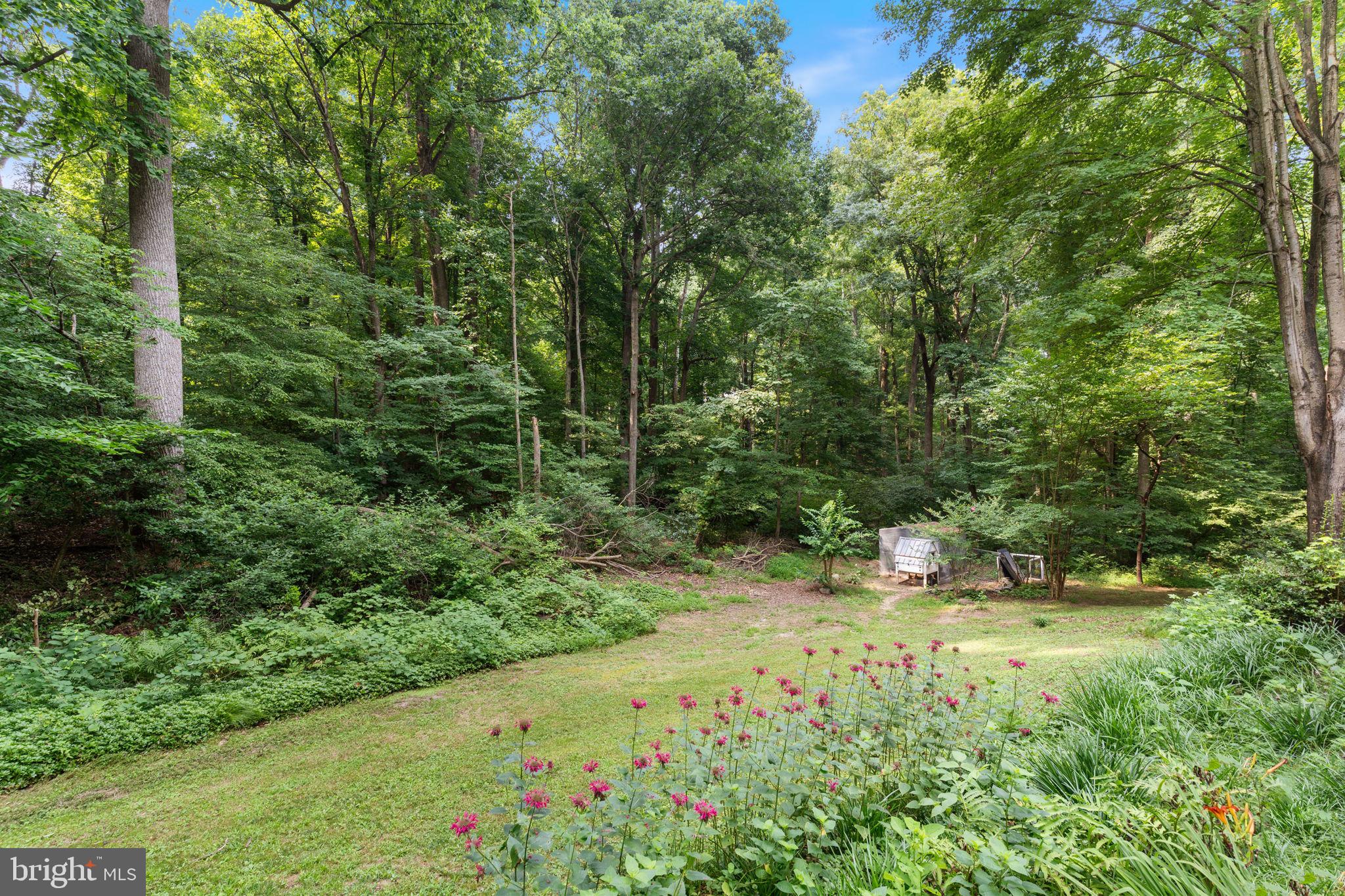 CHANEY STATION - Residential
