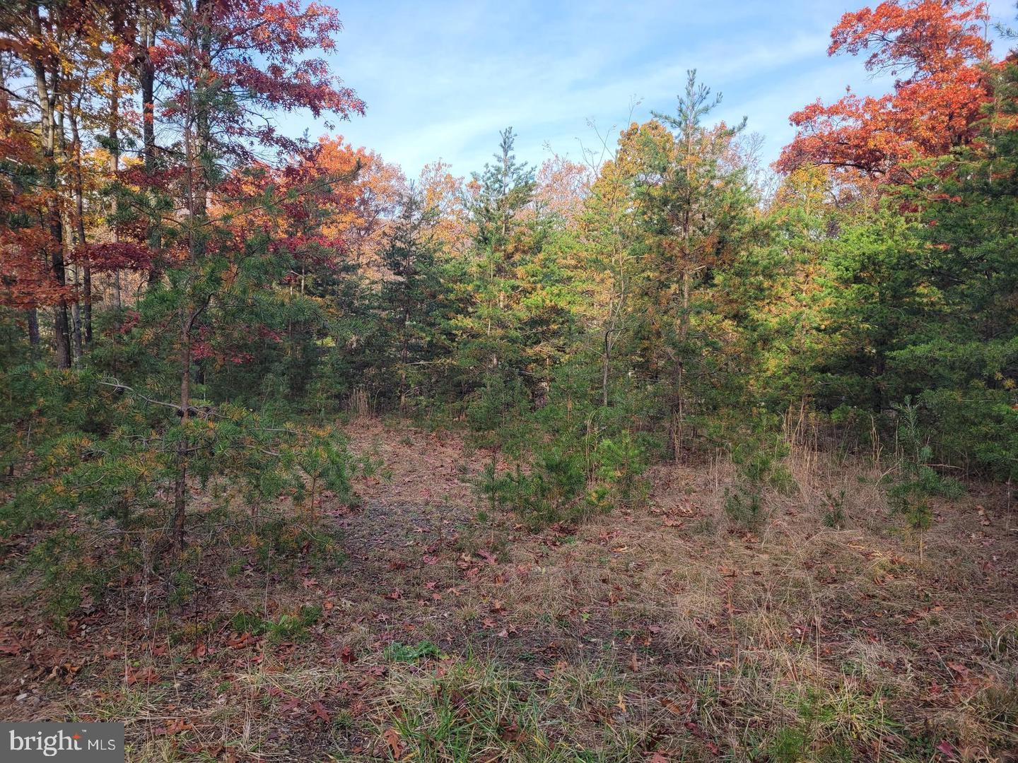 5 Acres of raw land in Hampshire County, WV.  Mainly wooded- current owners cleared some trees on the land. Buyer must use their own due diligence  on this land location and information . Being sold strictly as is where is. The correct address to Lot 26 Park Road Paw Paw, WV 25434 - in Waze us this address to get to the property proximity -26 Cabin Run Road Great Cacapon , WV ( this was the old address) When they purchased it was changed before settlement. Not far from Critton Run  that flows into Cacapon River!