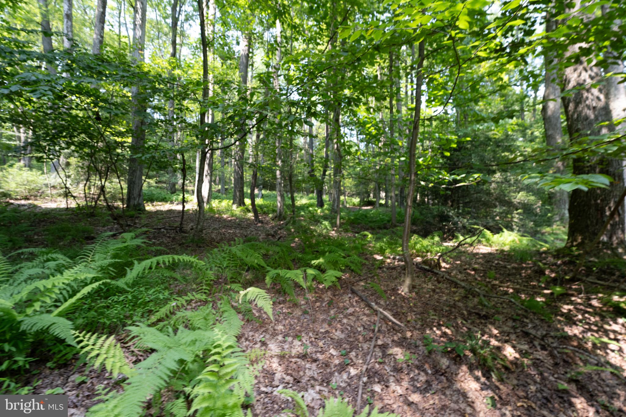 HEMLOCK ACRES - Residential