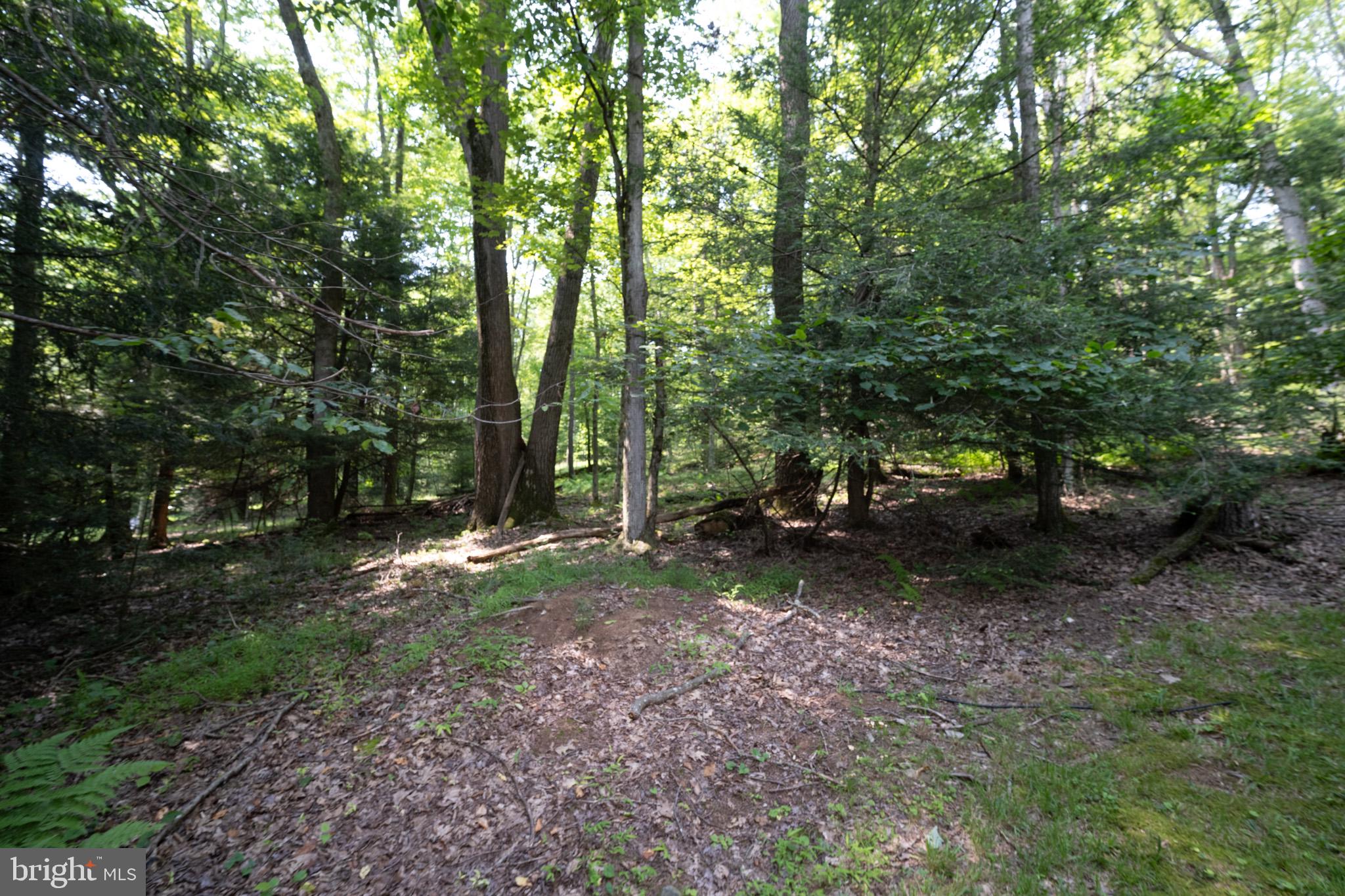 HEMLOCK ACRES - Residential