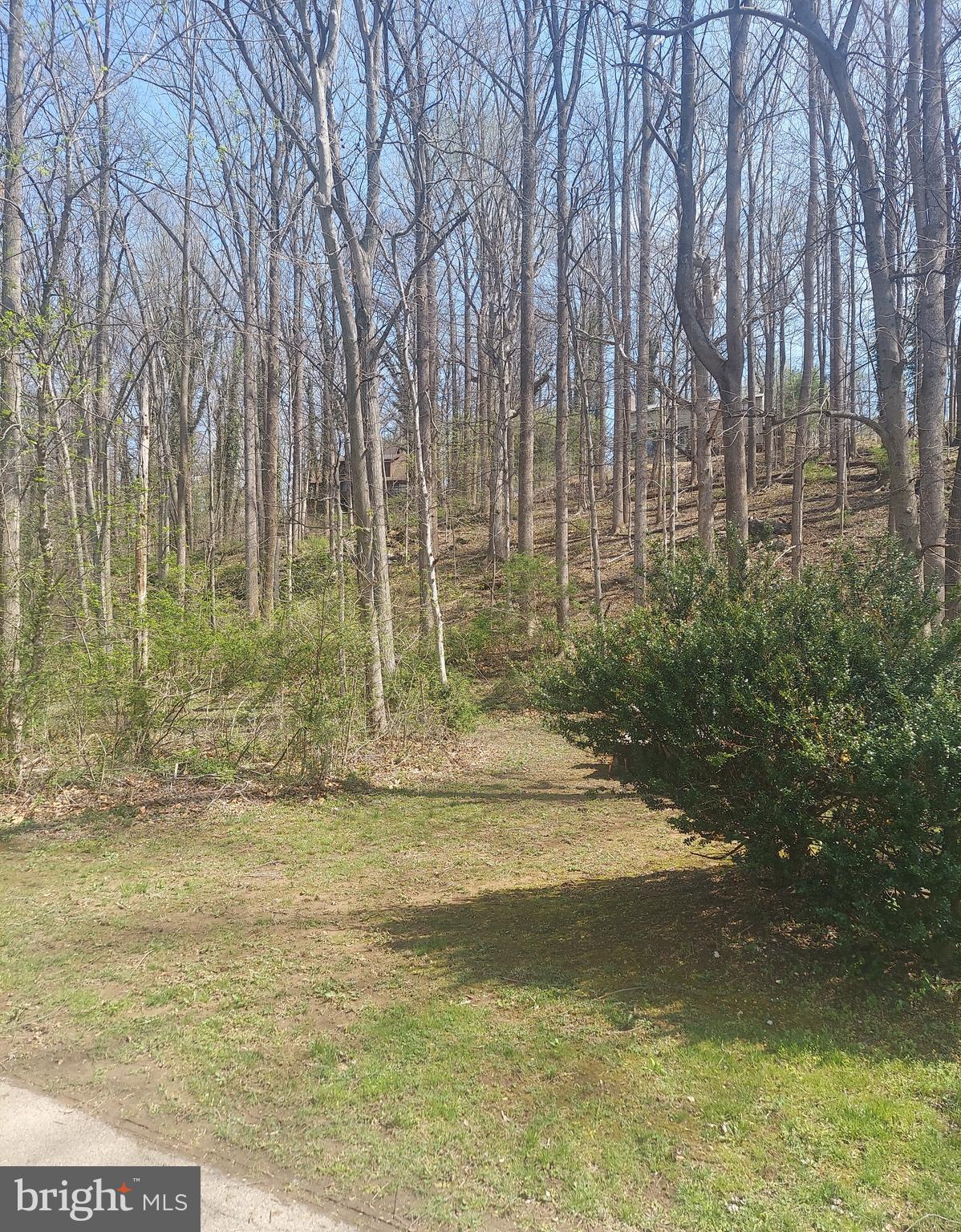 HONEYWOOD - Land