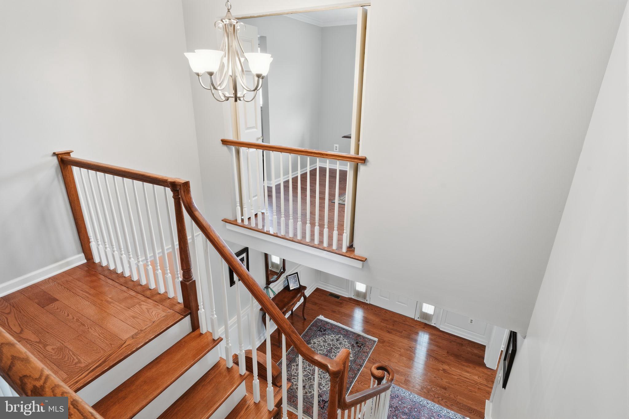 WYNNEWOOD - Residential