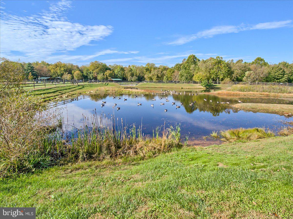 LINTON AT BALLENGER - Residential