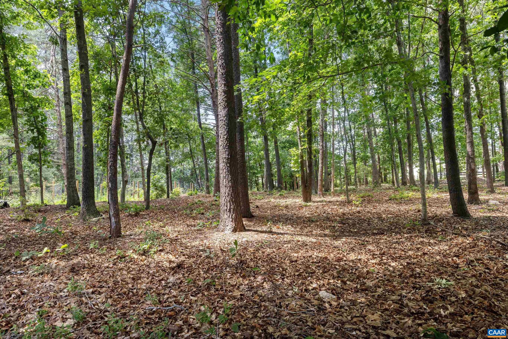 PREDDY CREEK - Residential