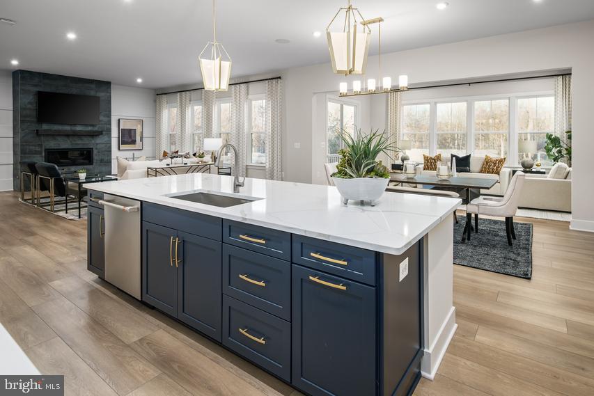 THE PRESERVE AT LONG BRANCH - Residential