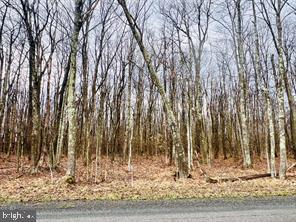 Tucked away just minutes from town, this 15.75± acre wooded parcel offers a quiet country setting with the privacy many buyers are searching for. Located off Bethlehem Road near the Potomac State Forest, the property features largely level terrain, mature trees, and abundant wildlife—an ideal backdrop for a private residence, weekend retreat, or recreational use.

The surrounding area provides easy access to the river for fishing and hunting, along with miles of nearby forestland to explore. Whether your vision is a secluded mountain getaway or a thoughtfully placed homesite with room to roam, this property offers both natural beauty and convenience.

Opportunities like this—affordability, acreage, privacy, and proximity to town—are increasingly hard to find. Contact us today to learn more or schedule a walk of the property.