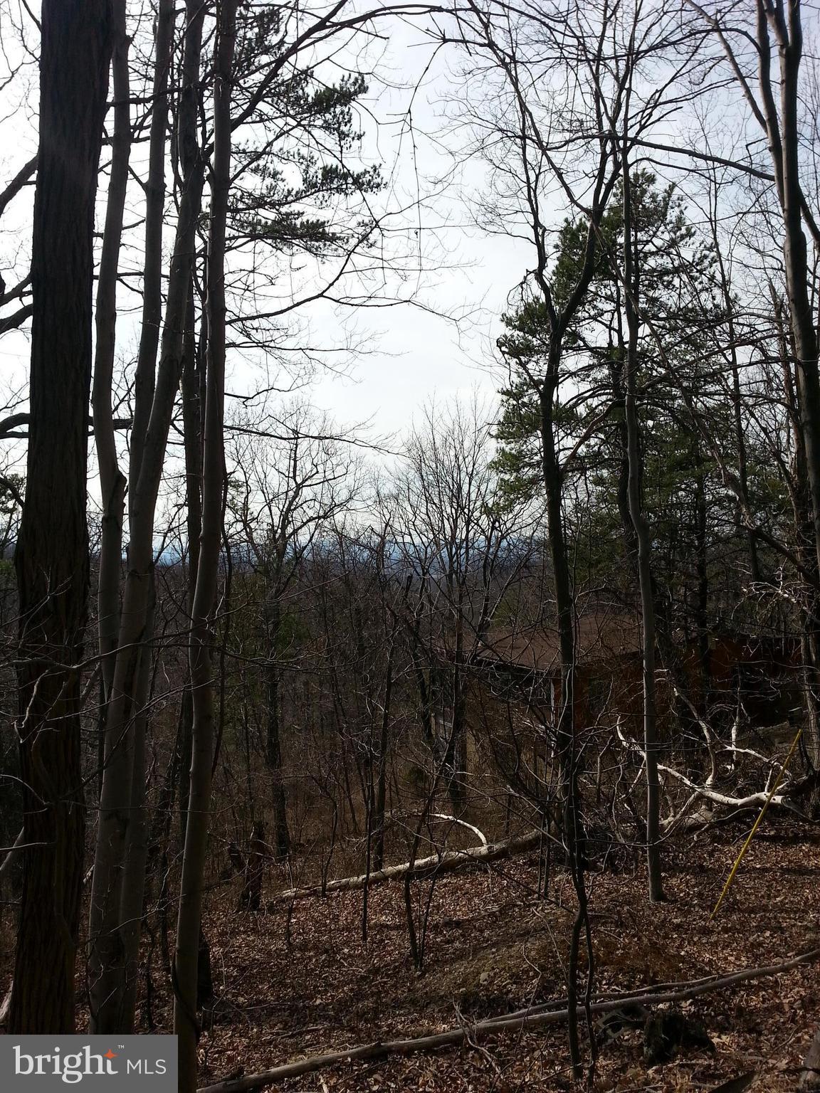 SHEN FARMS MT LAKE - Land