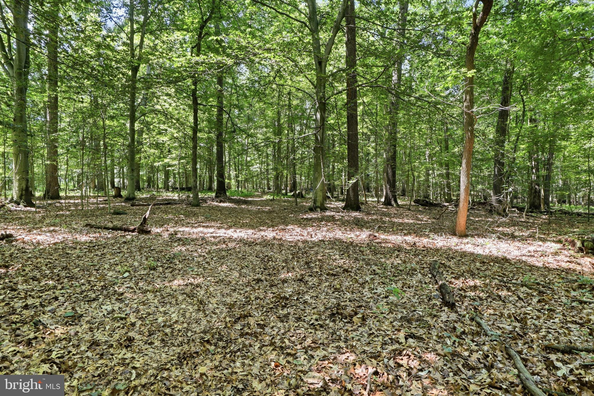 NORTH HARFORD - Residential