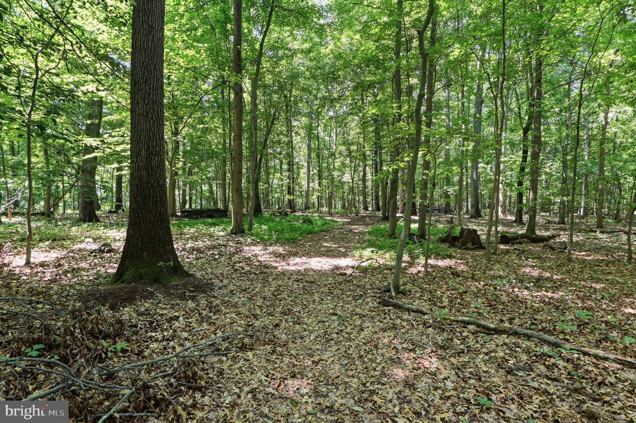 NORTH HARFORD - Residential