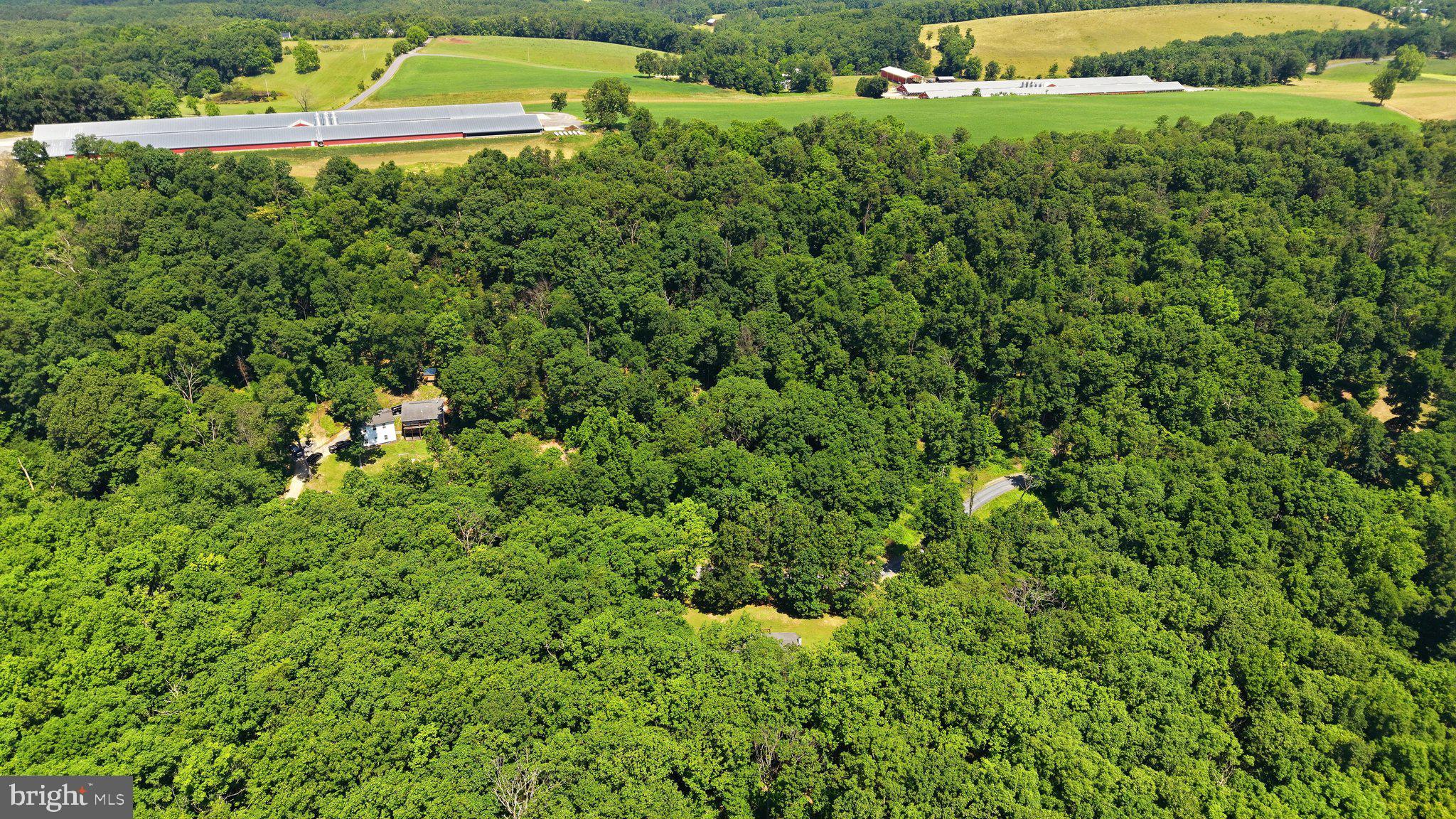 TIMBER RIDGE FARMS - Residential