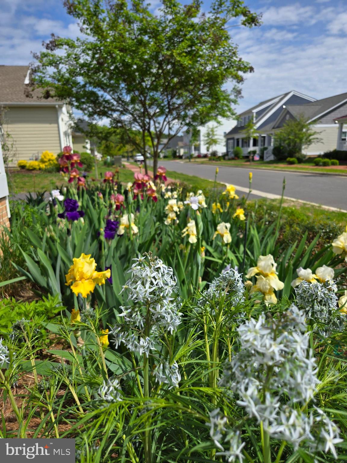 EASTON VILLAGE - Residential