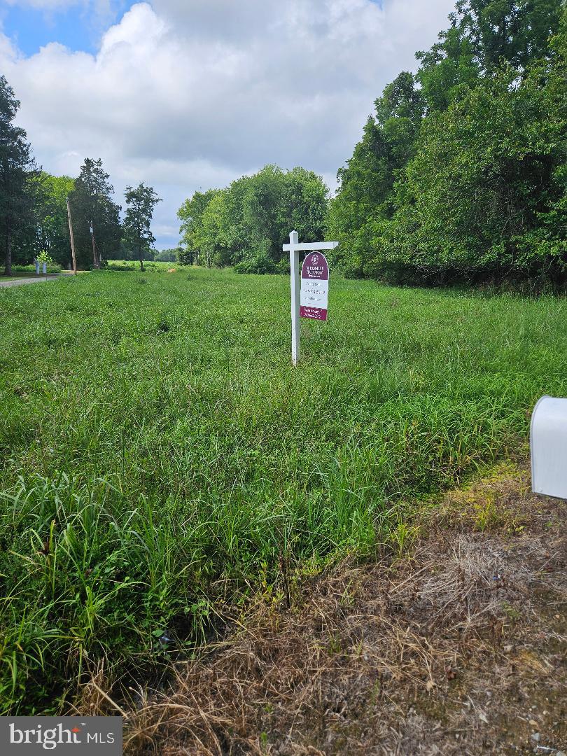 Vacant land along the Johnsontown Rd, Chestertown, MD and is conveniently located at the corner of Johnsontown Rd and Willow Oak Lane.