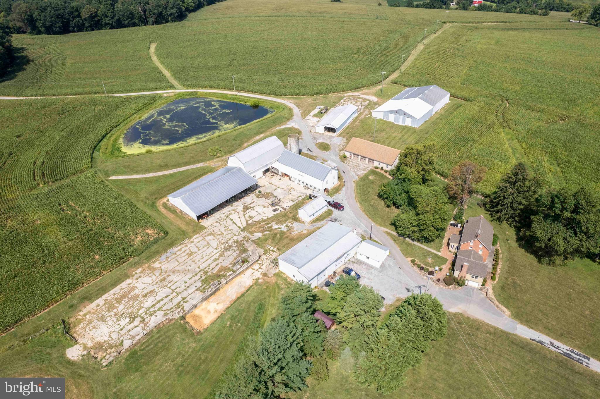 HAMPSTEAD - Farm