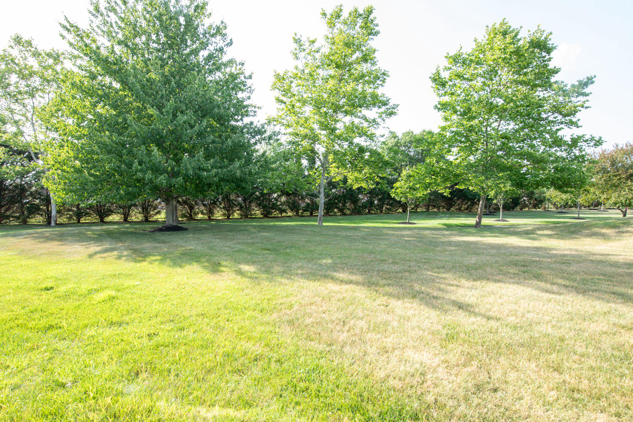 LEGACY OAKS - Residential