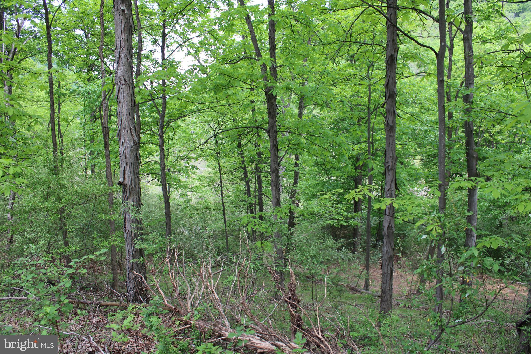 DEERFIELD HIGHLANDS - Land