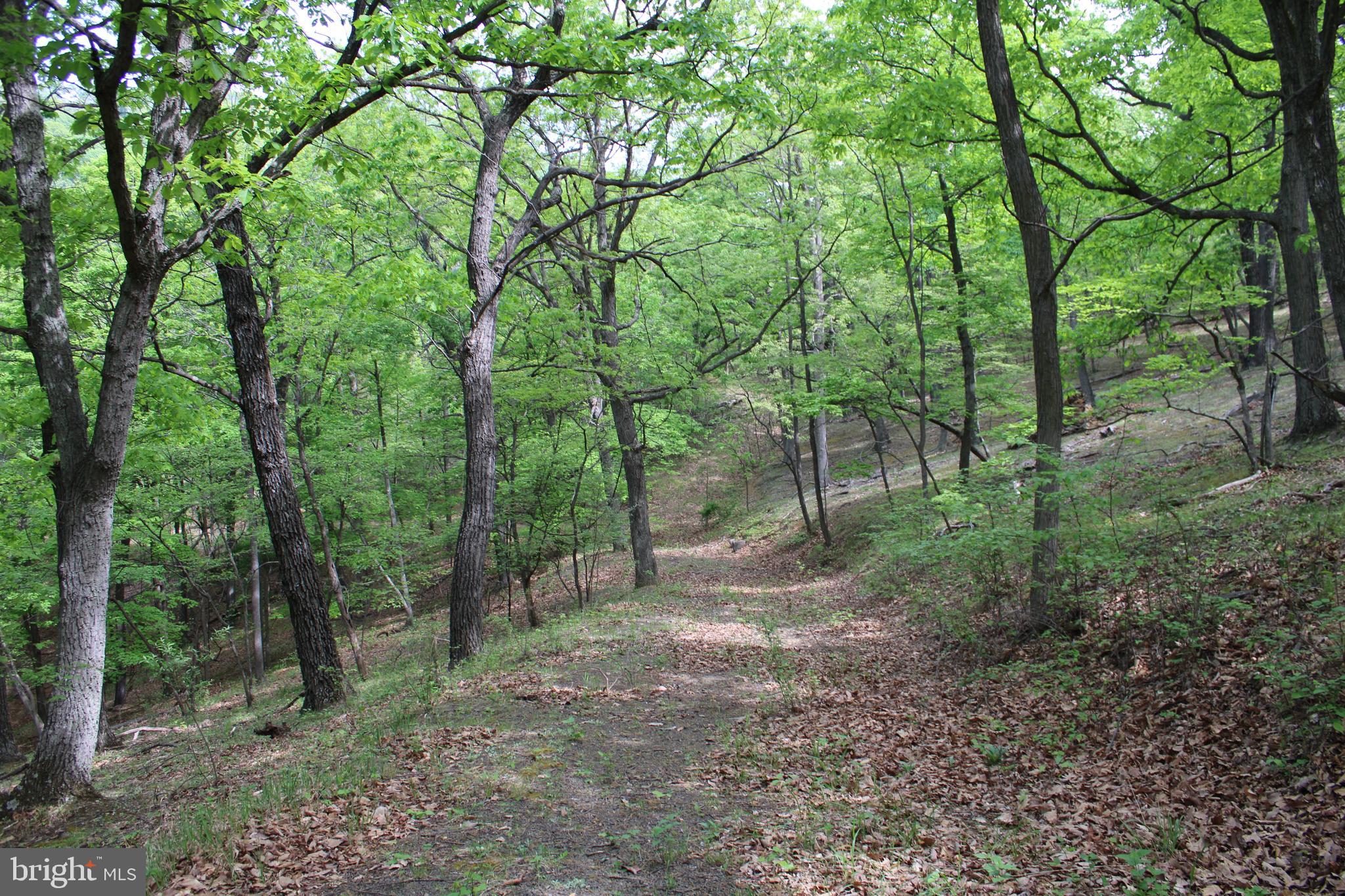 DEERFIELD HIGHLANDS - Land