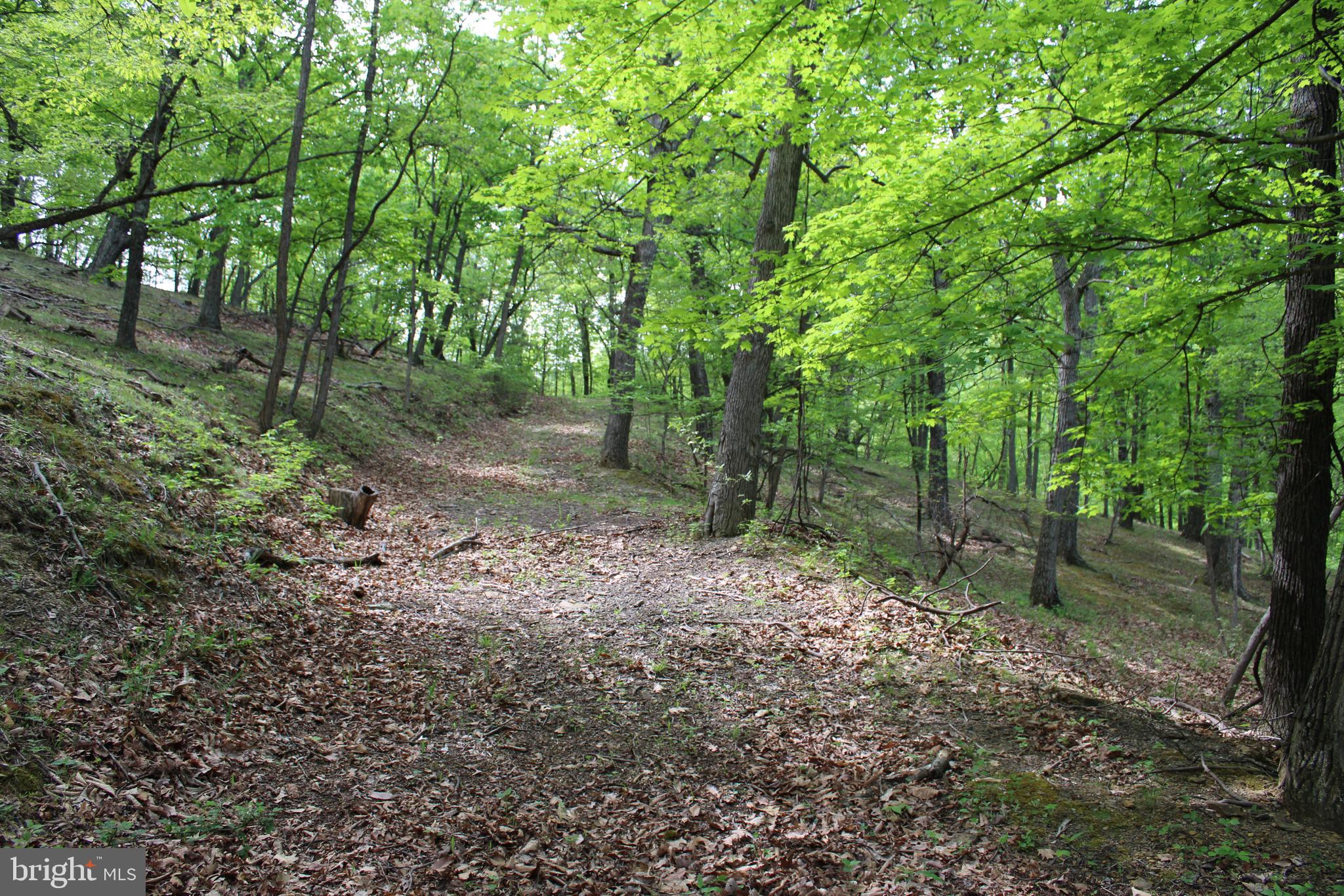 DEERFIELD HIGHLANDS - Land