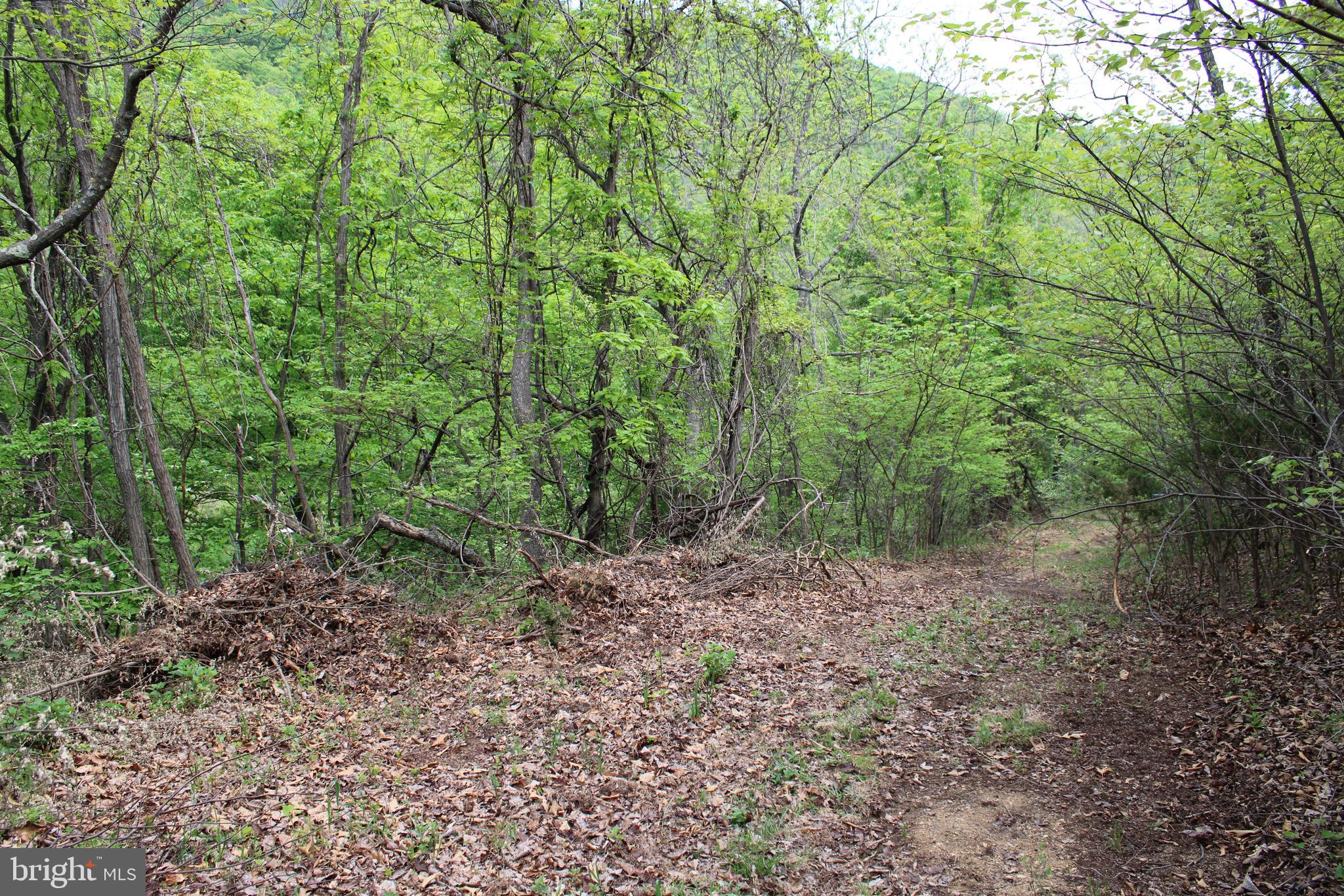 DEERFIELD HIGHLANDS - Land
