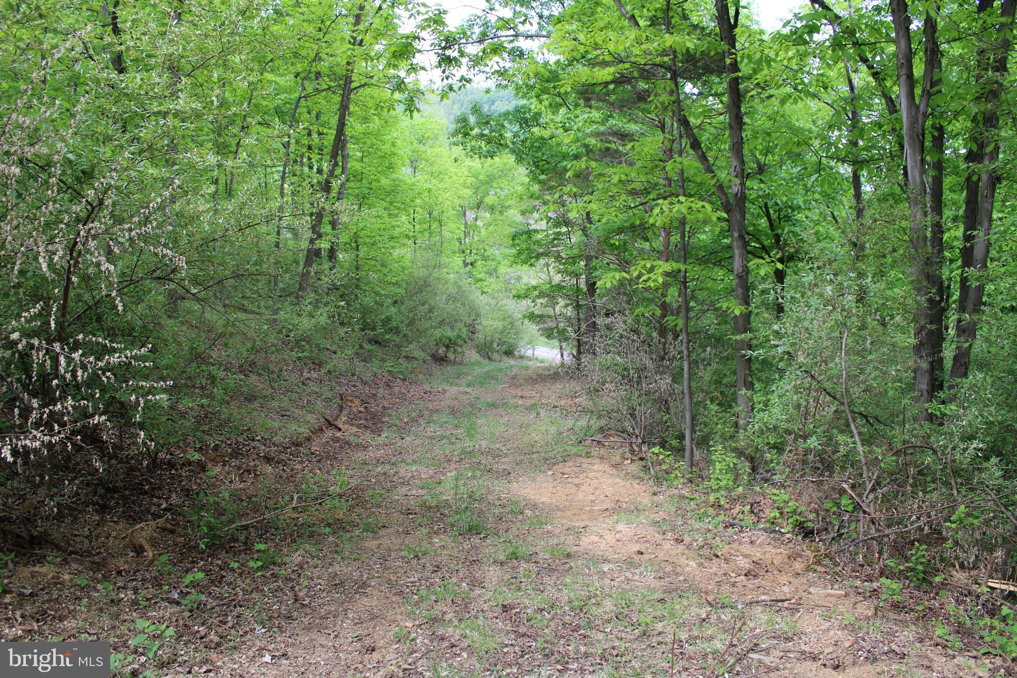 Opportunity awaits to craft your own mountain sanctuary in West Virginia. Nestled amidst dense woodland and secluded tranquility, this 10.17-acre expanse of raw mountain land beckons an enterprising soul to fashion it into something truly exceptional. Replete with excellent hunting habitat and possessing remnants of an old road for access, it offers abundant possibilities. Positioned at the nexus of outdoor adventure, with easy access to the Potomac River's public access points, it's a gateway to limitless outdoor exploration. Discover the allure of full or part-time living in West Virginia, conveniently located within a leisurely 2-hour drive from anywhere in the DMV.