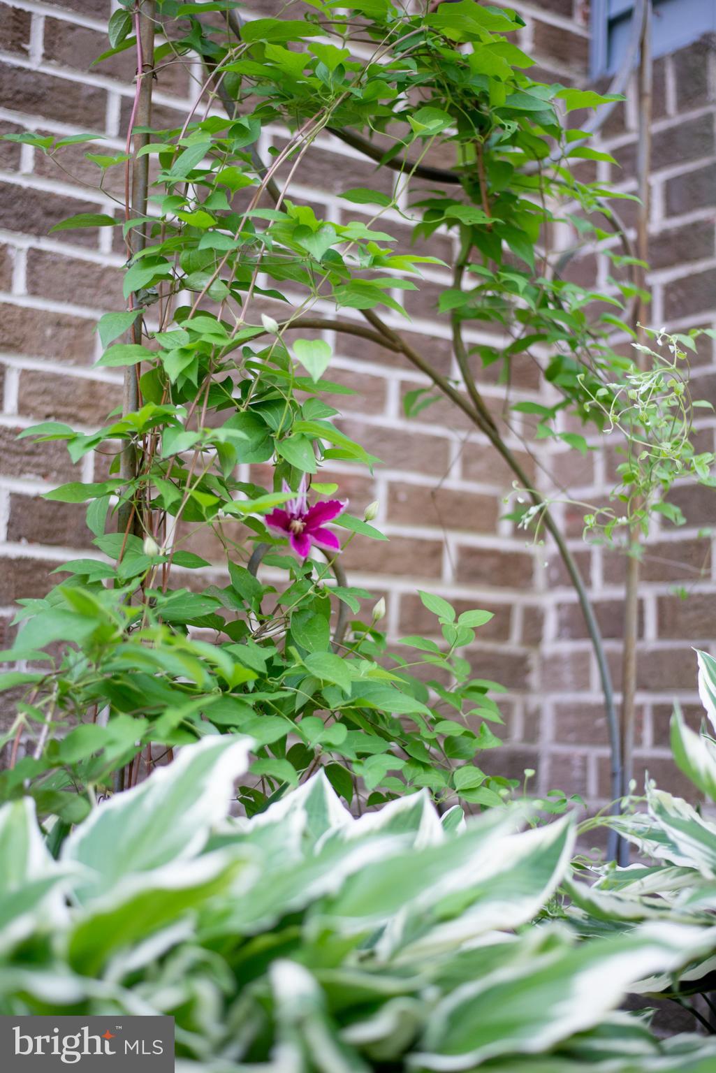 HOLLEYBROOKE - Residential