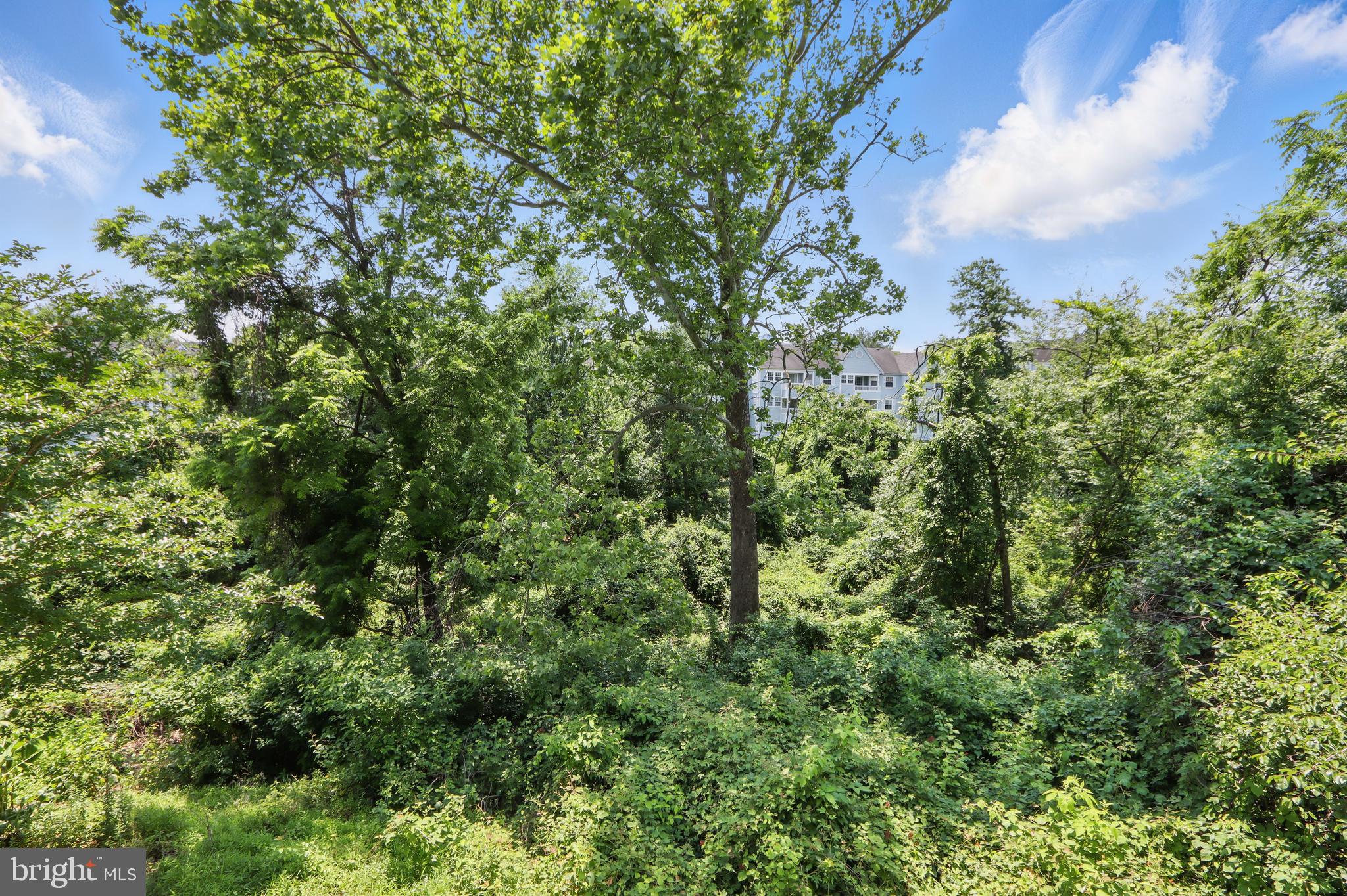 VILLAGE OF MONTGOMERY RUN - Residential