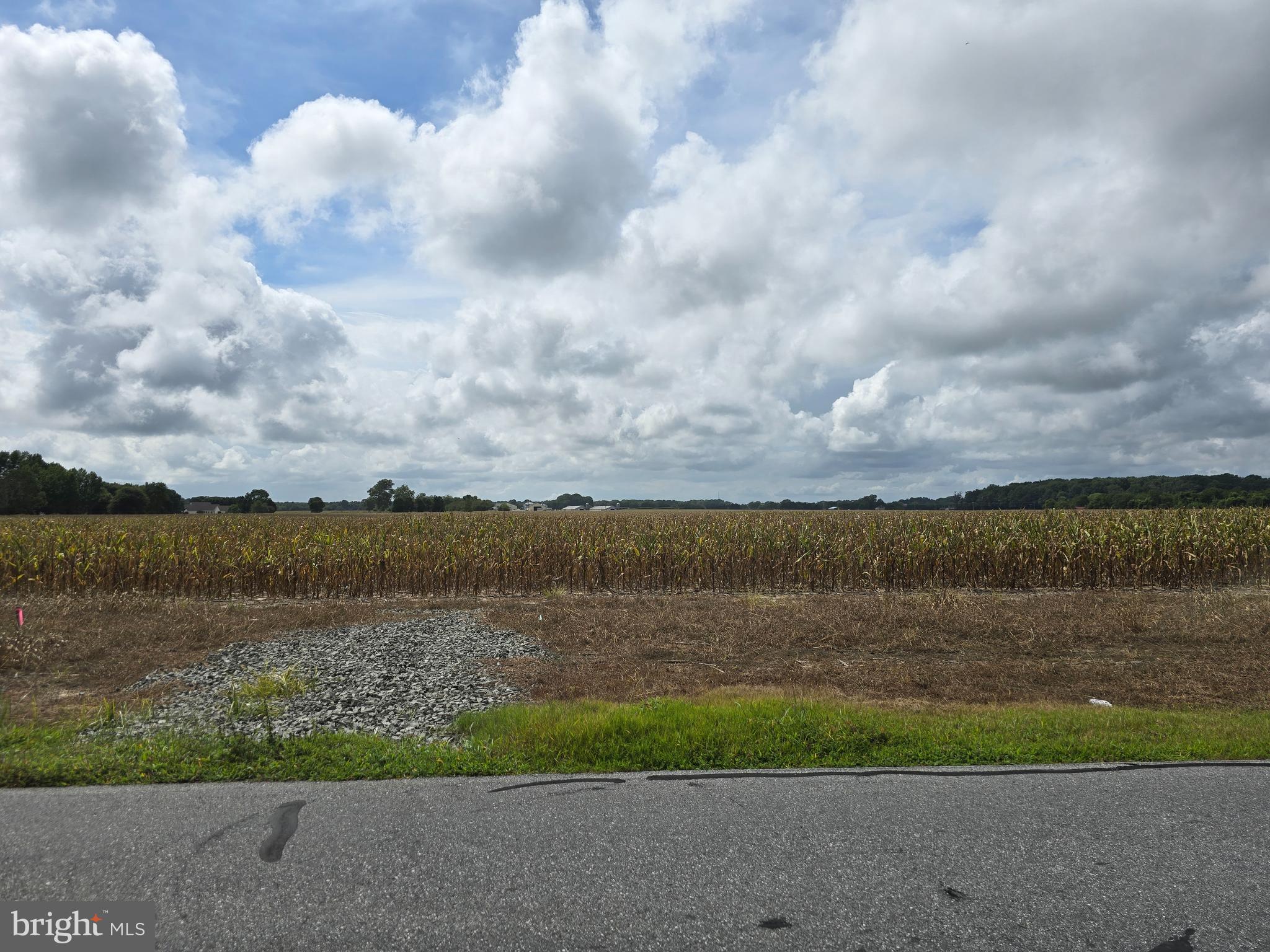 Build your dream home on this 1.01 AC lot located on Gray Road in Dagsboro DE, No HOA and no City tax. The lot currently has corn planted but no lease encumbers this property. The Site evaluation is attached.  There is a small tax ditch tax of $3.30 on this property. Tax information is based on 2025 tax bill.