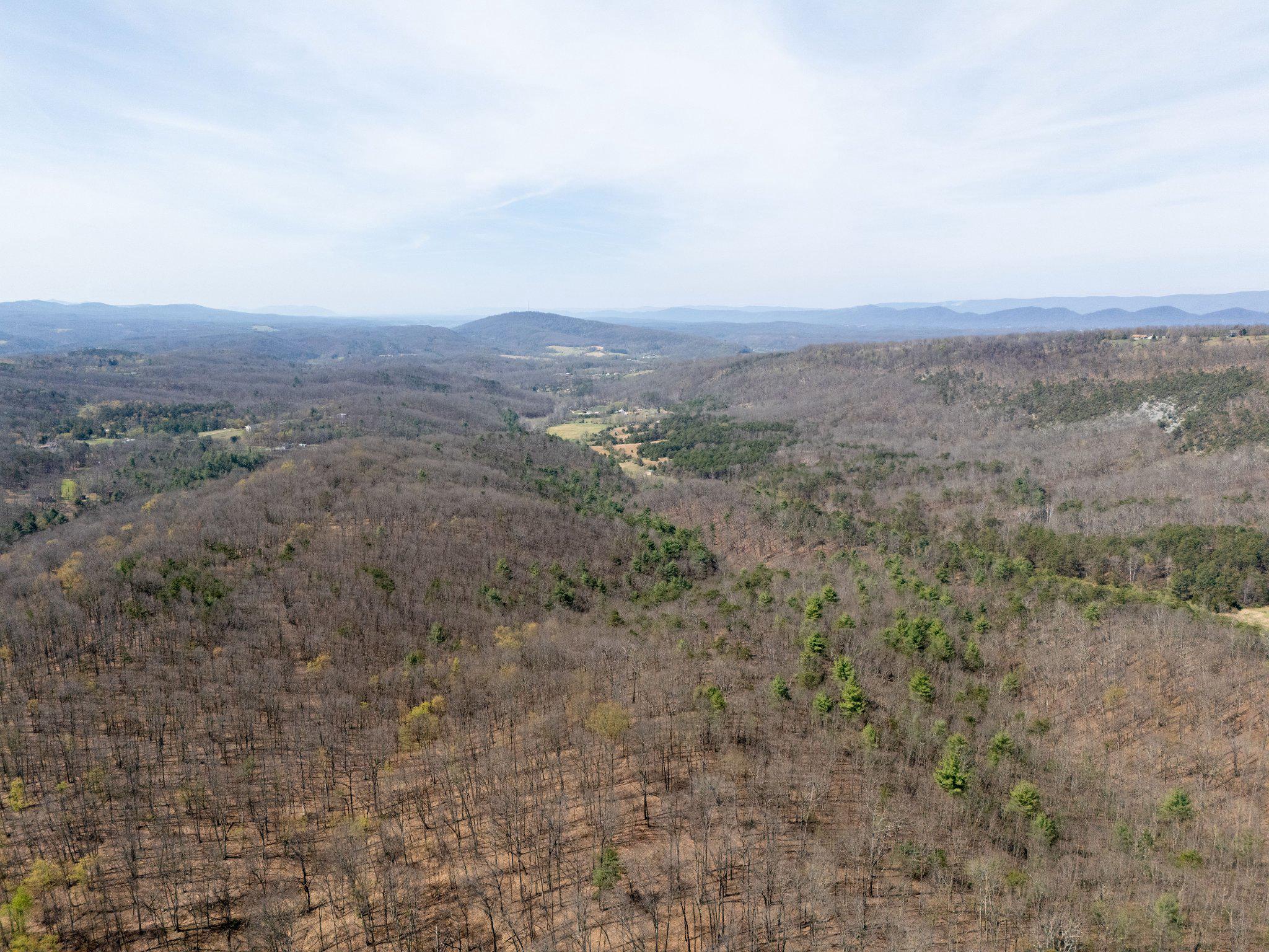 Walnut Ridge offers 230± acres of contiguous hardwood timberland in the heart of Western Maryland’s premier recreational corridor. Defined by rolling to steep mountain topography, this property features a dynamic landscape of ridgelines, benches, and hollows that create both striking scenery and highly functional use across the tract.

The property is exceptionally well-suited for recreational use, hunting, and long-term land investment. Its varied terrain supports strong deer movement, with natural funnels, pinch points, and transition zones that consistently guide wildlife across the property. The region is well known for its population of whitetail deer, turkey and black bear, making this a well-rounded and highly desirable sporting tract.

A well established and maintained trail system is already in place, allowing for easy access throughout the property and the ability to effectively hunt multiple stand locations with strategic entry and exit routes. The combination of terrain and accessibility creates a property that is both enjoyable to navigate and highly functional from a hunting perspective.

The timber composition consists primarily of mature hardwoods and pine, offering excellent habitat value along with long-term timber potential. The size and layout of Walnut Ridge provide privacy, seclusion, and the opportunity to establish a private retreat, hunting camp, or legacy holding.

Located near the outdoor hubs of Cumberland and Rocky Gap State Park, and within close proximity to Green Ridge State Forest and Warrior Mountain Wildlife Management Area, Walnut Ridge is surrounded by thousands of acres of managed public land—further enhancing the region’s wildlife habitat and recreational appeal. Be sure to ask for a full Habitat Profile on this property to get all the hunting and habitat insight.

Whether you’re seeking a dedicated hunting tract, a private mountain retreat, or a long-term land investment, Walnut Ridge delivers scale, diversity, and opportunity in one of Western Maryland’s most sought-after outdoor settings. Please contact listing agent to set up a showing today, DO NOT ENTER PROPERTY WITHOUT CONSENT FROM THE LAND GROUP.

*Boundary lines depicted are approximate and for illustrative purposes only. Buyer is responsible for conducting their own due diligence, including but not limited to verification of property boundaries, acreage, access, and all other property attributes.
